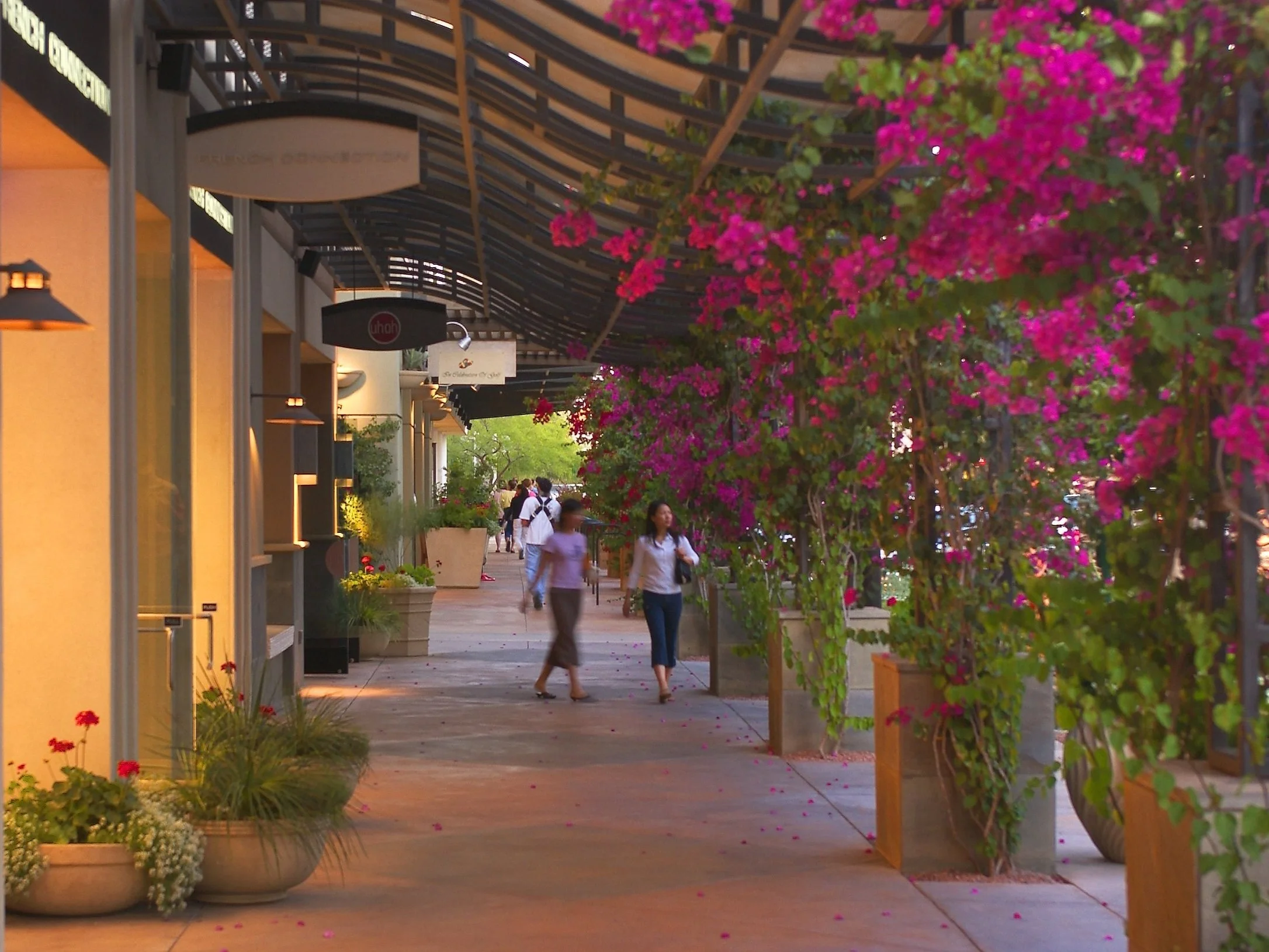 The Shops at Hilton Village