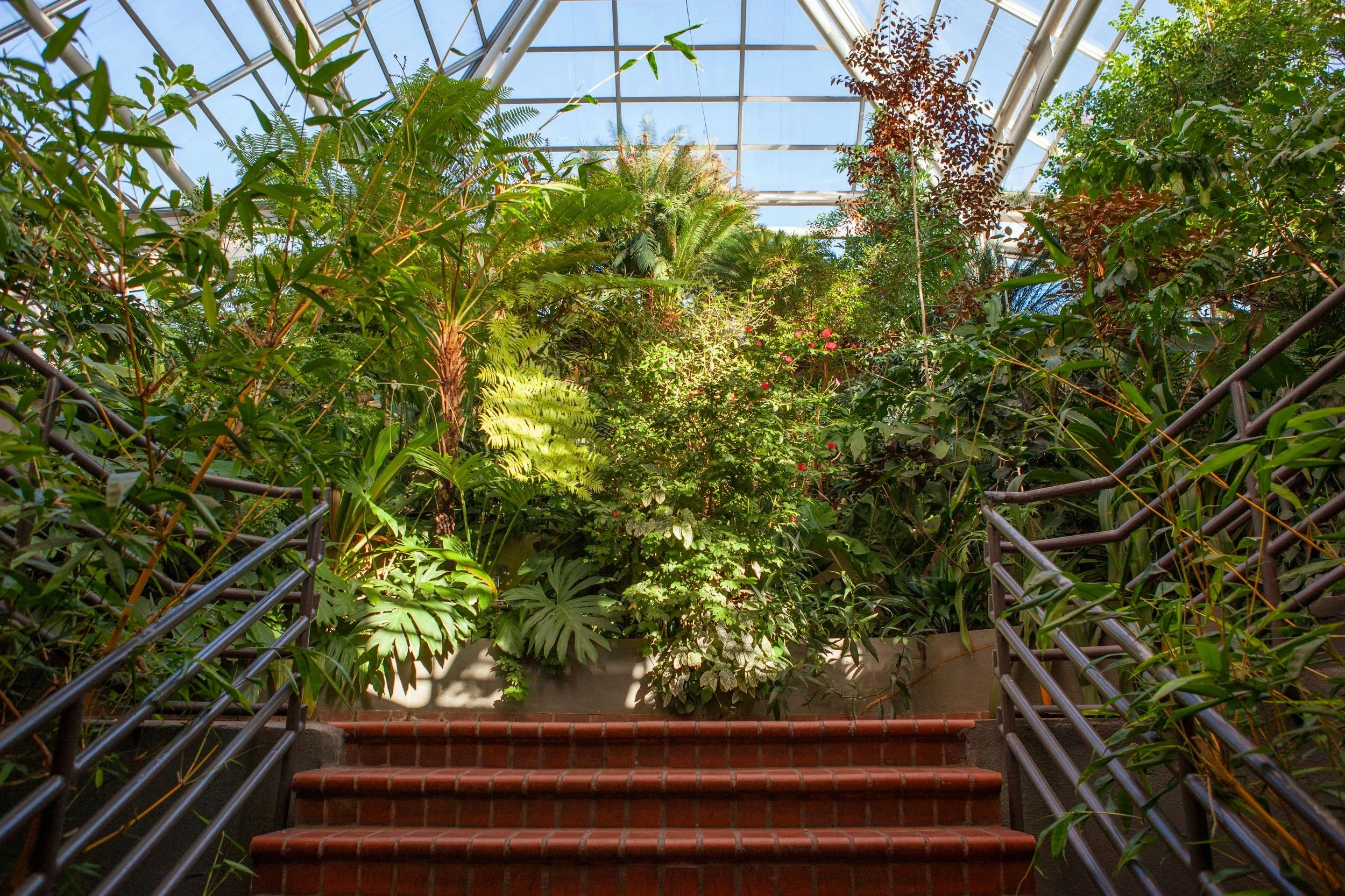 Brooklyn Botanic Garden