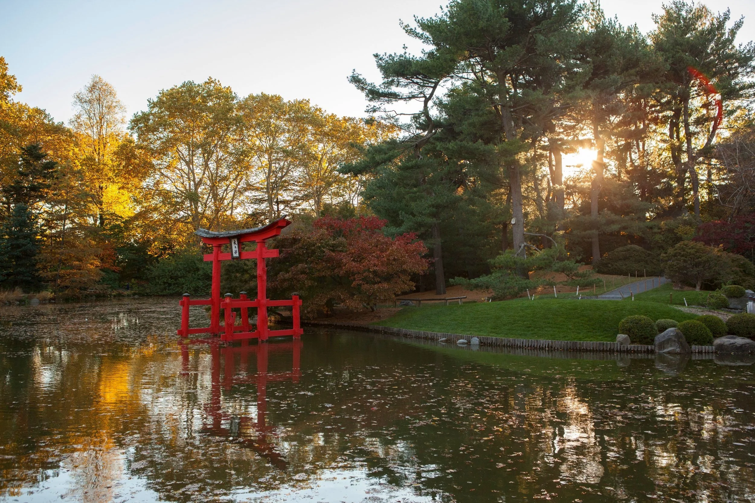 Brooklyn Botanic Garden