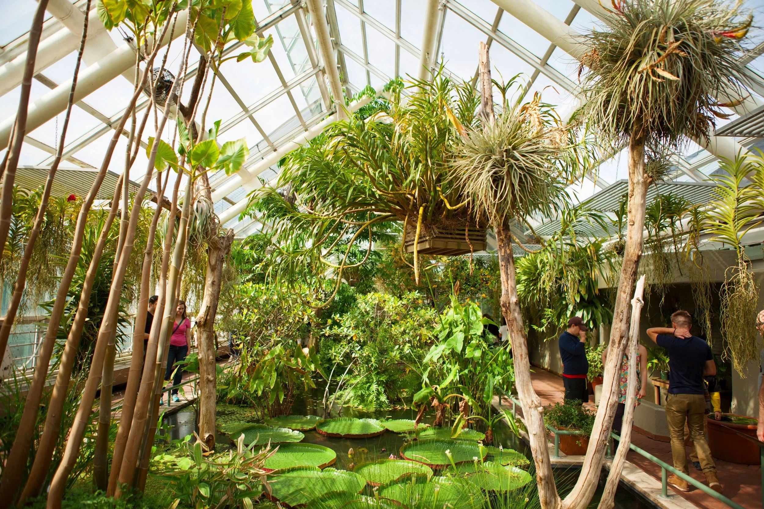 Brooklyn Botanic Garden