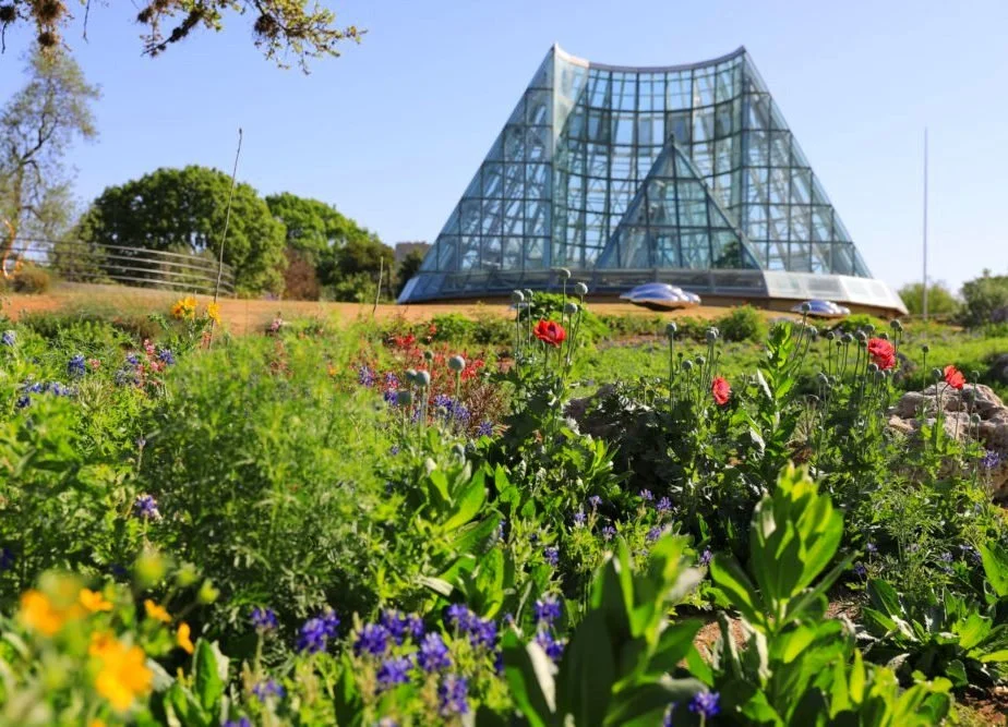 San Antonio Botanical Garden
