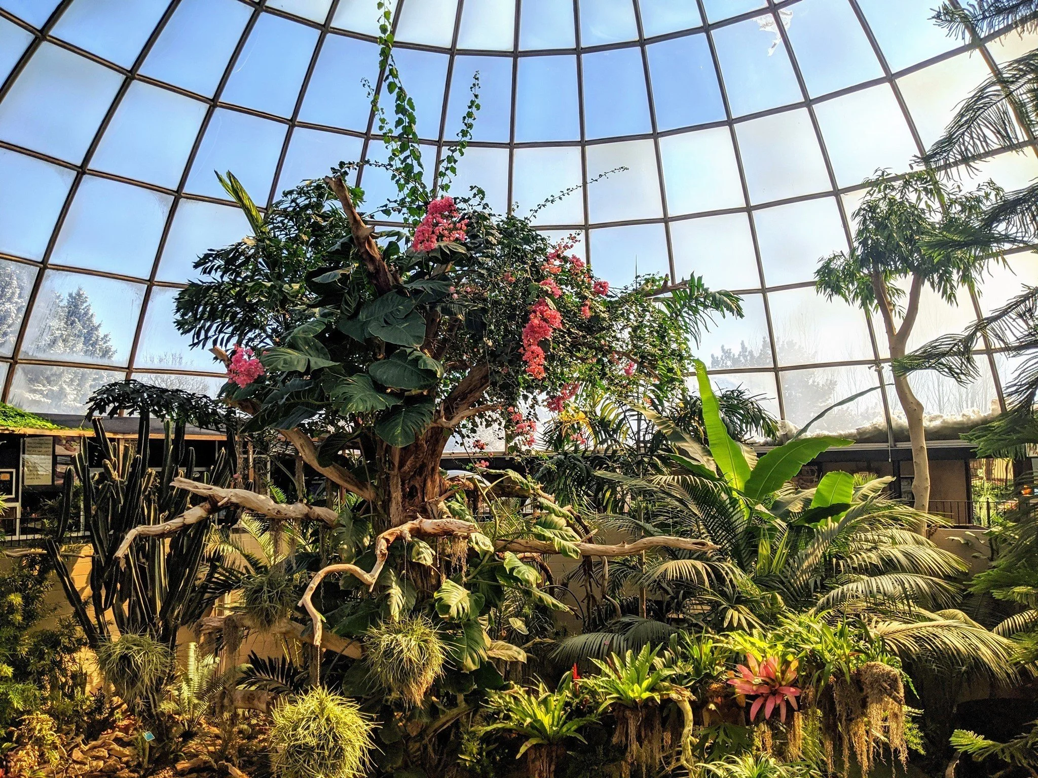  Source: Reptile Gardens 