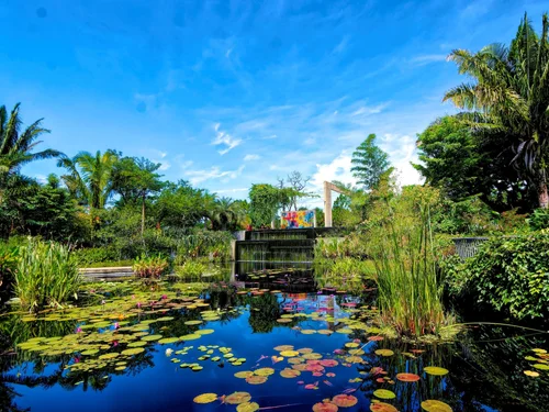 Naples Botanical Garden — Kapnick Brazilian Garden