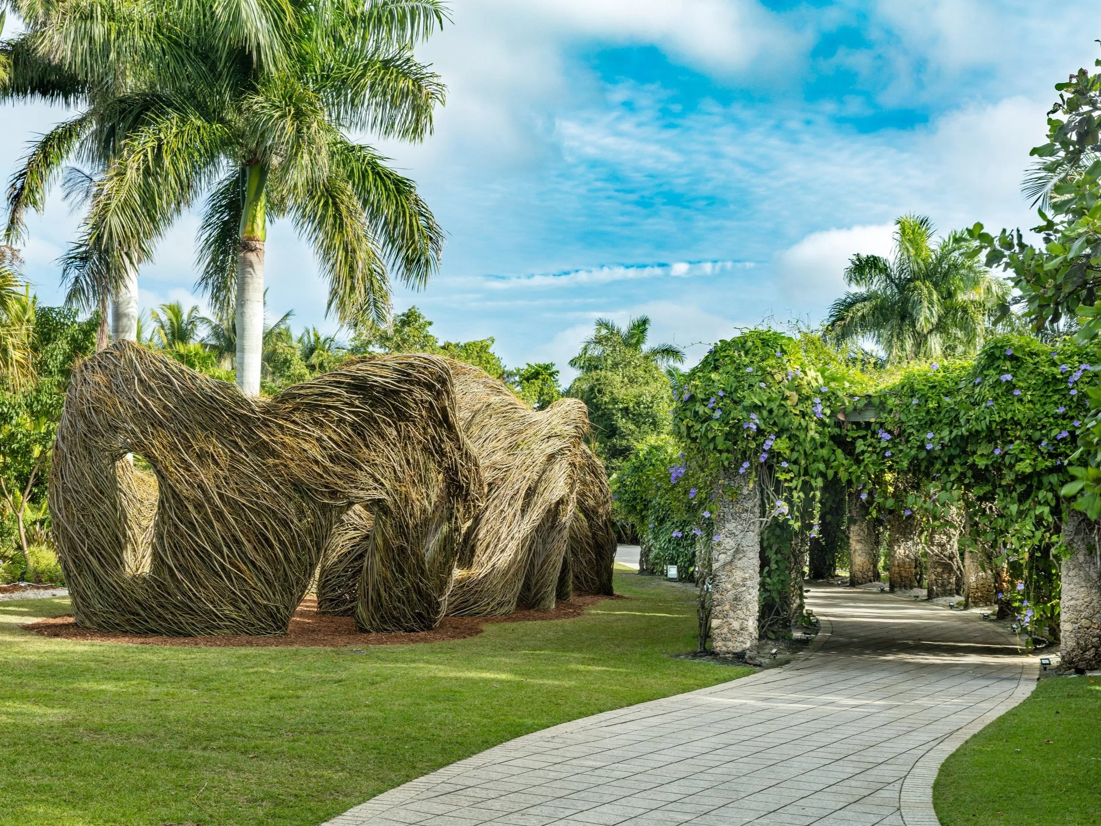  Image Courtesy: Visit Paradise Coast 