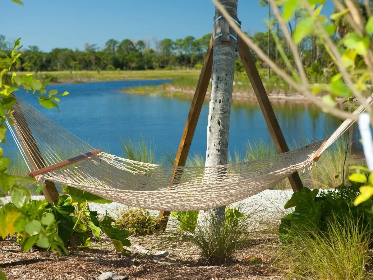  Image Courtesy: Visit Paradise Coast 