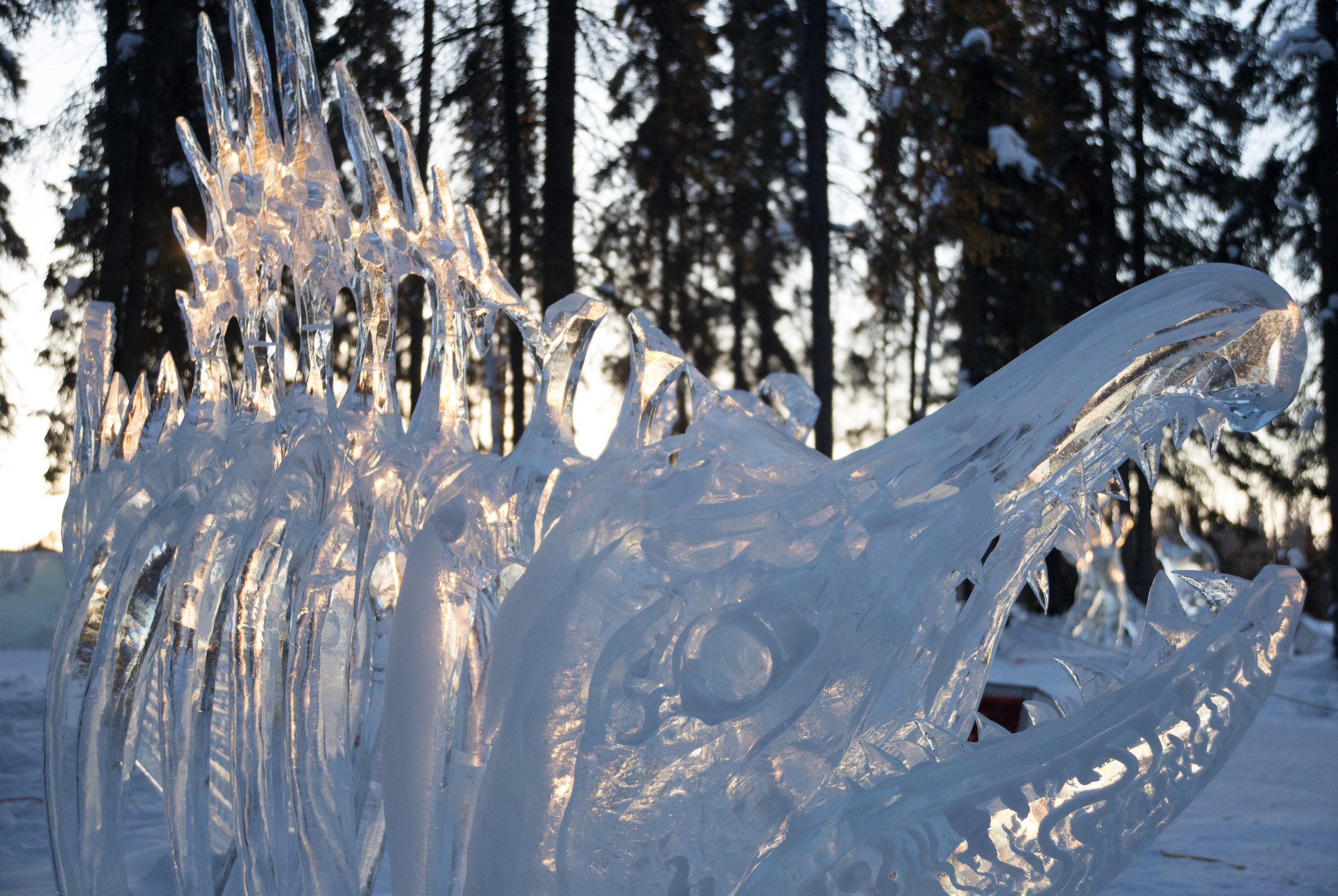 Midnight Sun Tracker  Explore Fairbanks Alaska