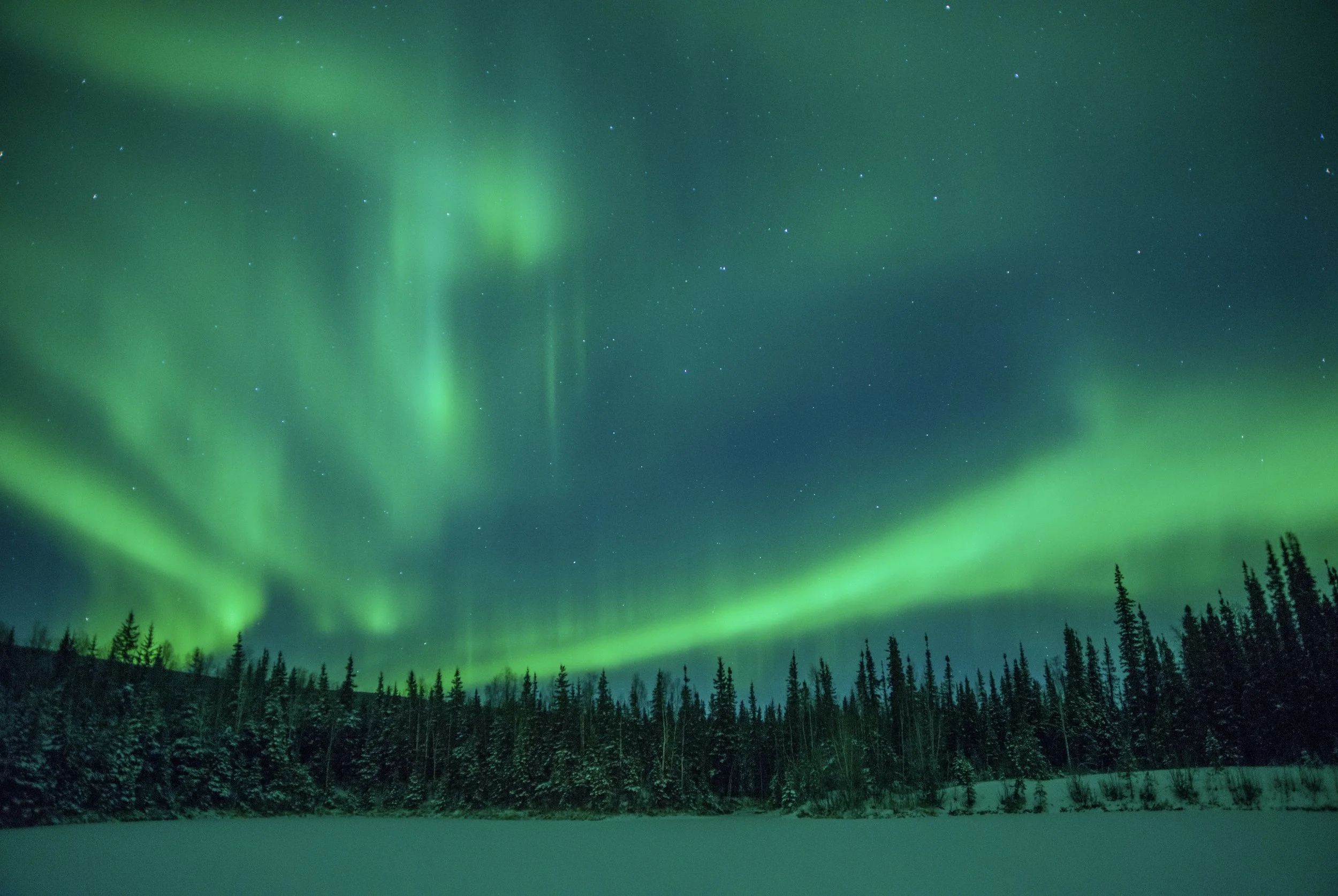 Aurora Season
