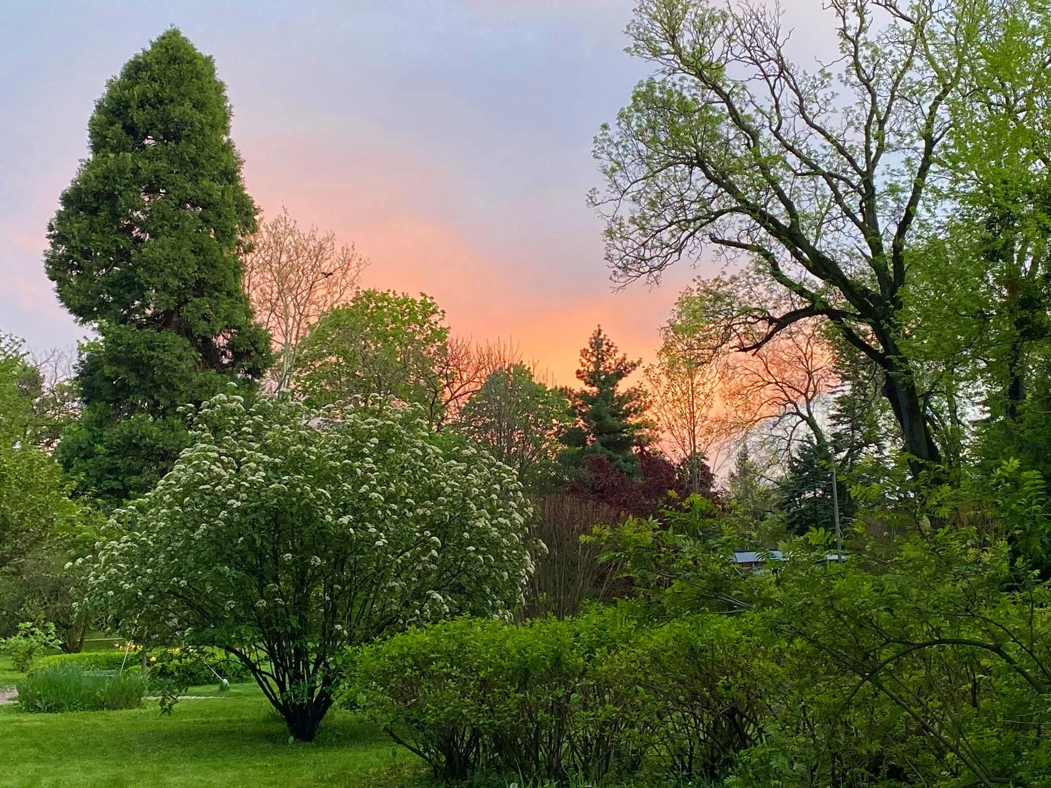 Grădina Botanică București
