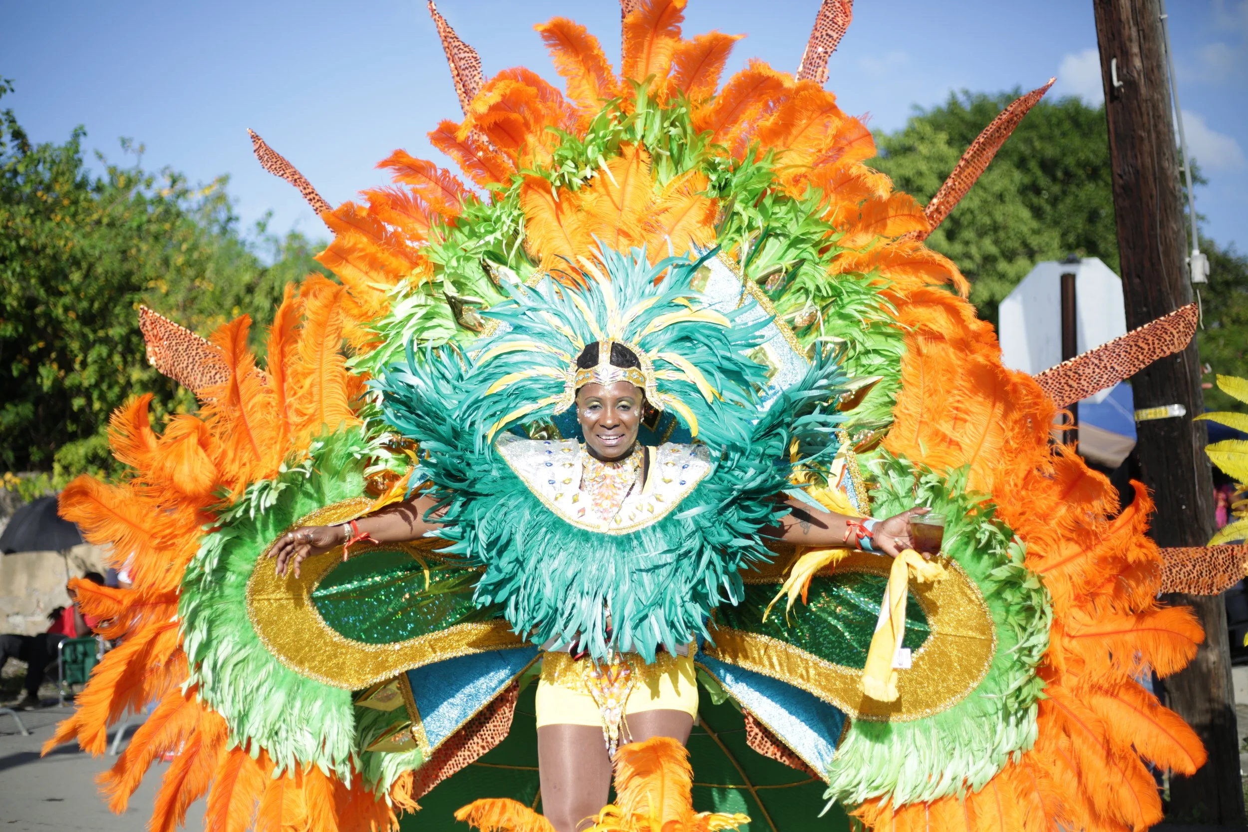  Image Courtesy: Visit USVI 