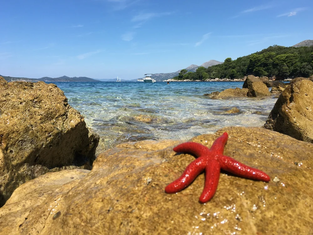 Koločep Island, Croatia
