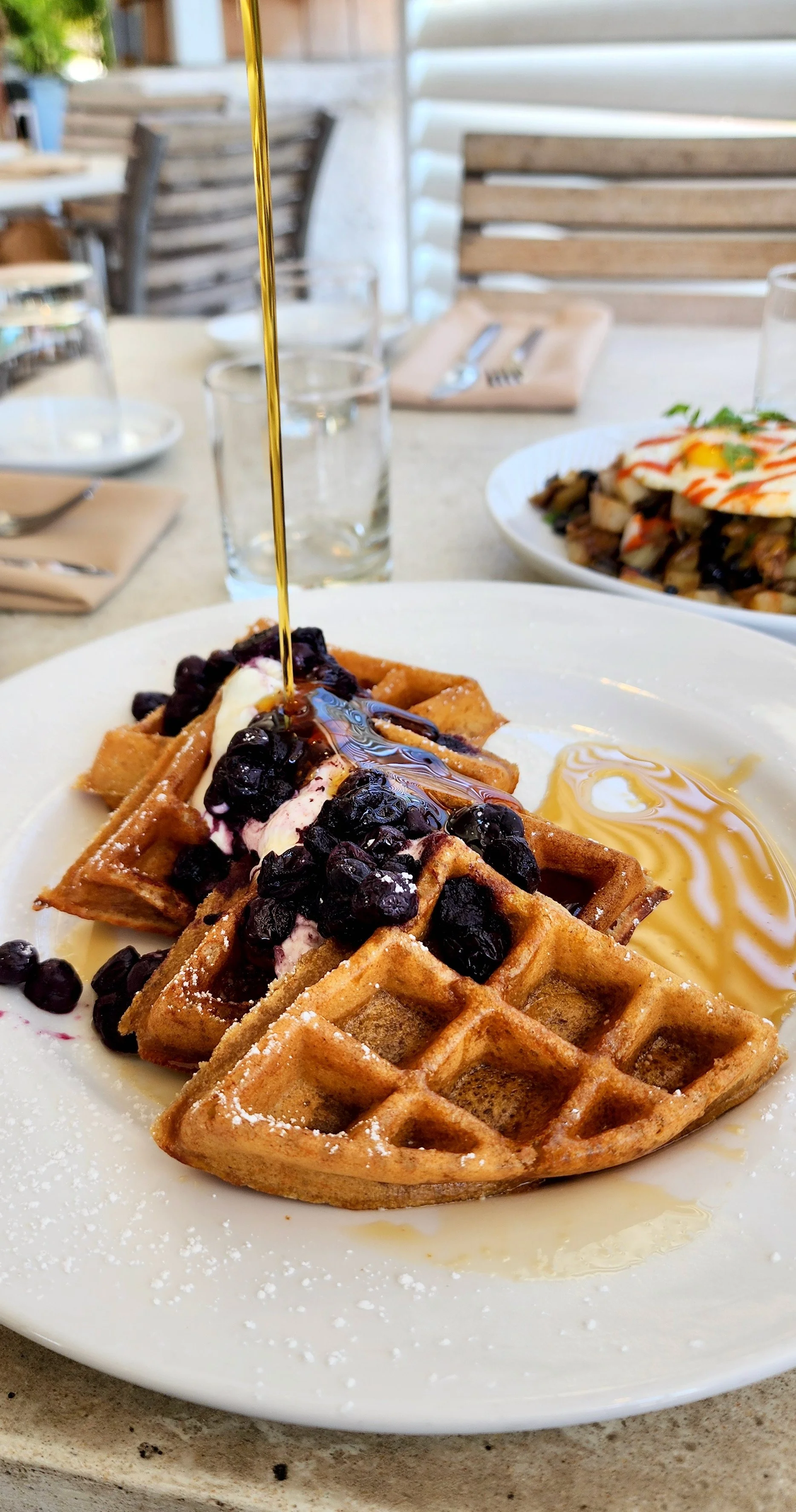 Blue Surf Arboretum West