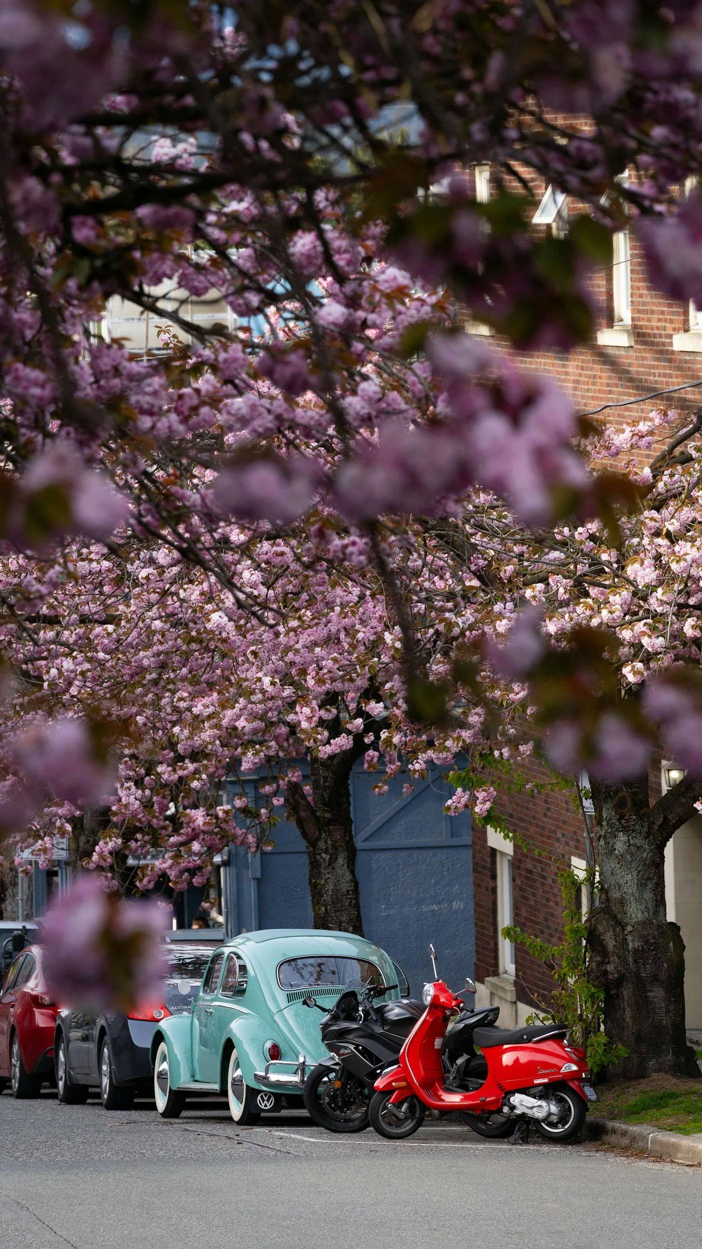 5 Best Canadian Destinations Near the US Border to Visit in Spring