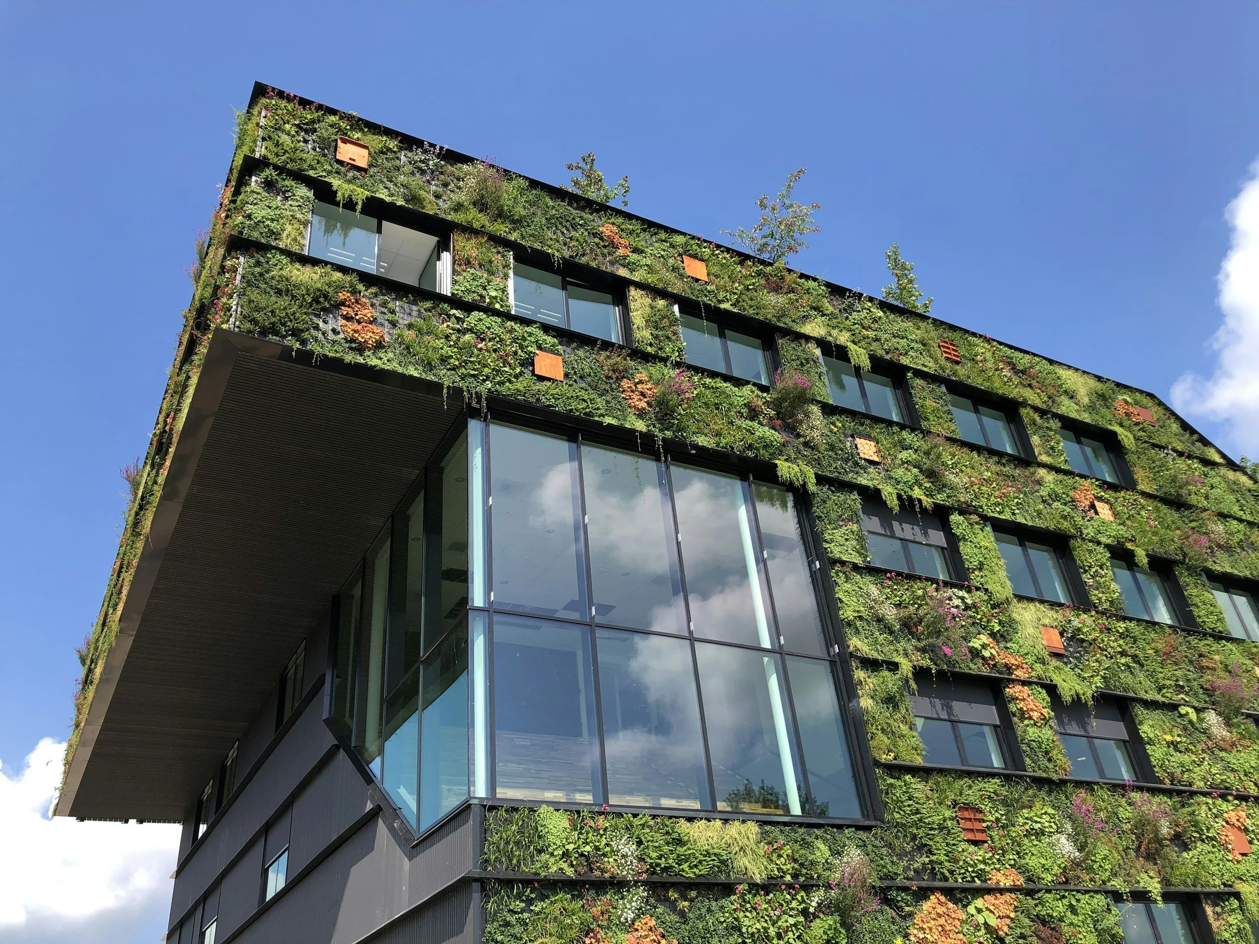 Sustainable Travel: How to Explore Responsibly in 2025