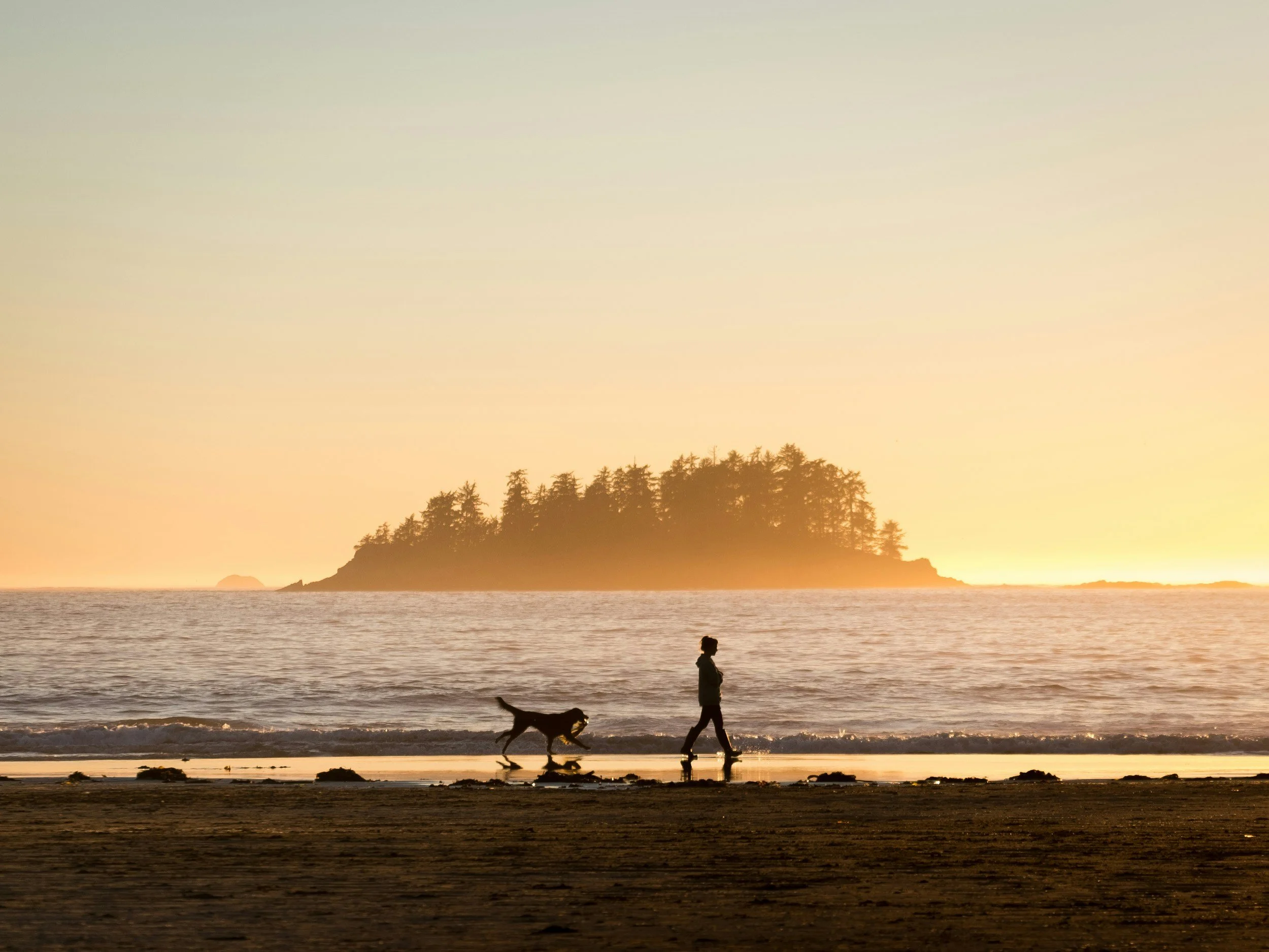 Your Weekend Getaway to Tofino, British Columbia: Official Travel Guide