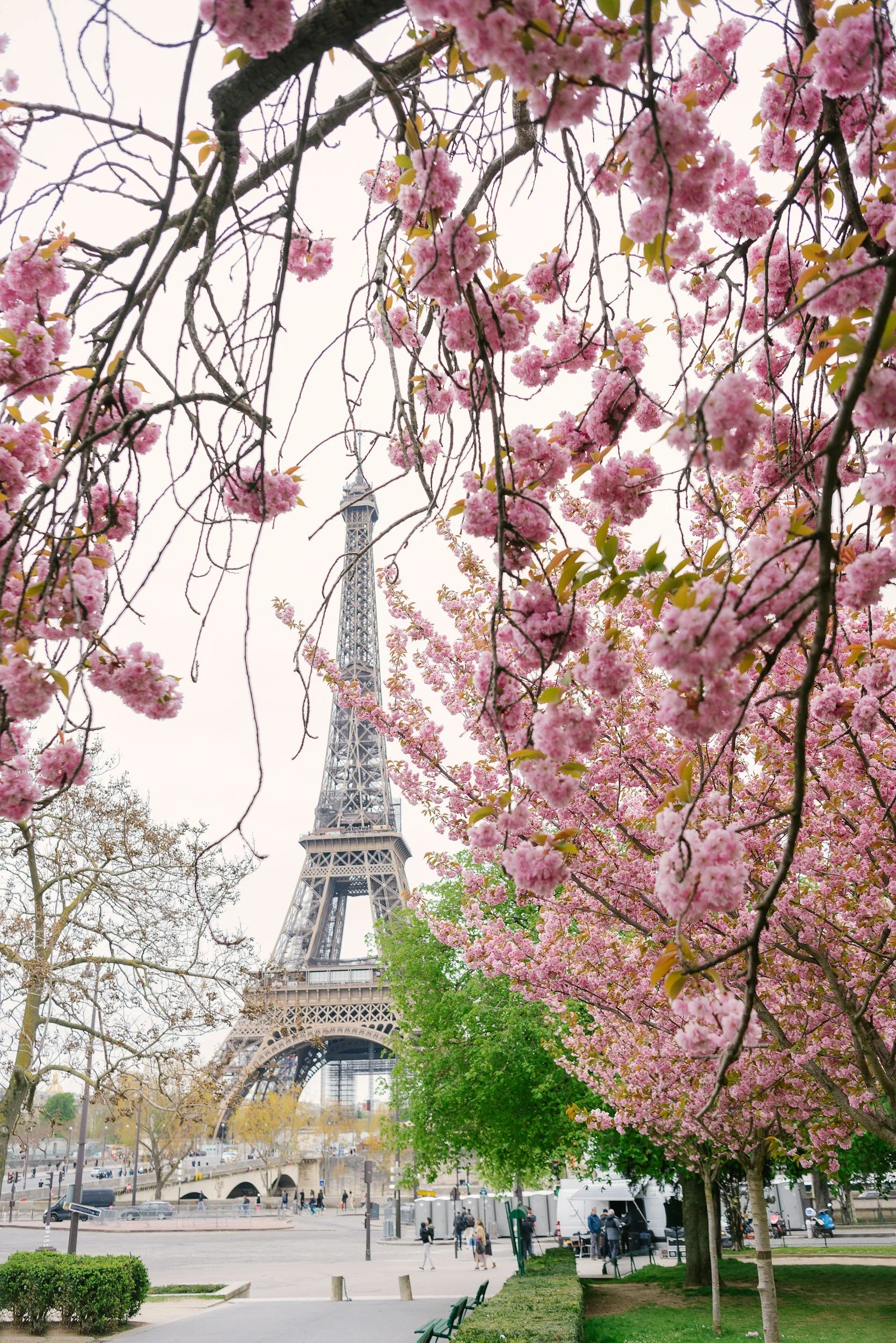 Ultimate Guide to Visiting Paris, France
