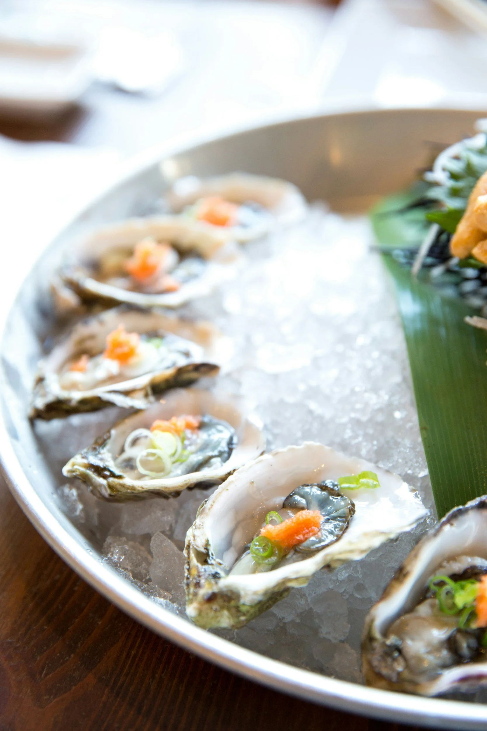 The Ultimate Guide to America’s Favorite Shellfish