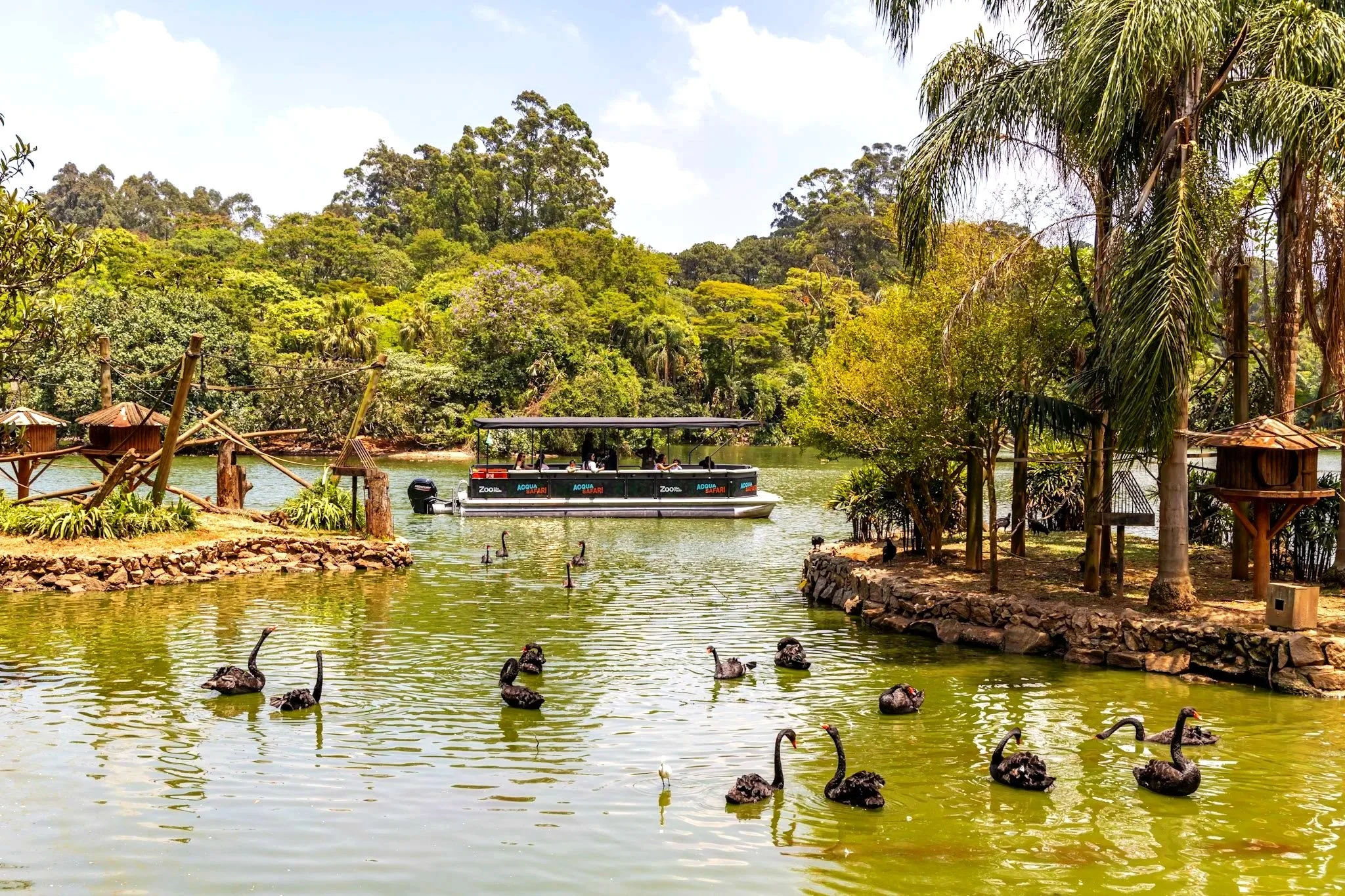 Inside São Paulo’s Secret Jungle—Why Latin America’s Largest Zoo Is the City’s Most Unexpected Escape