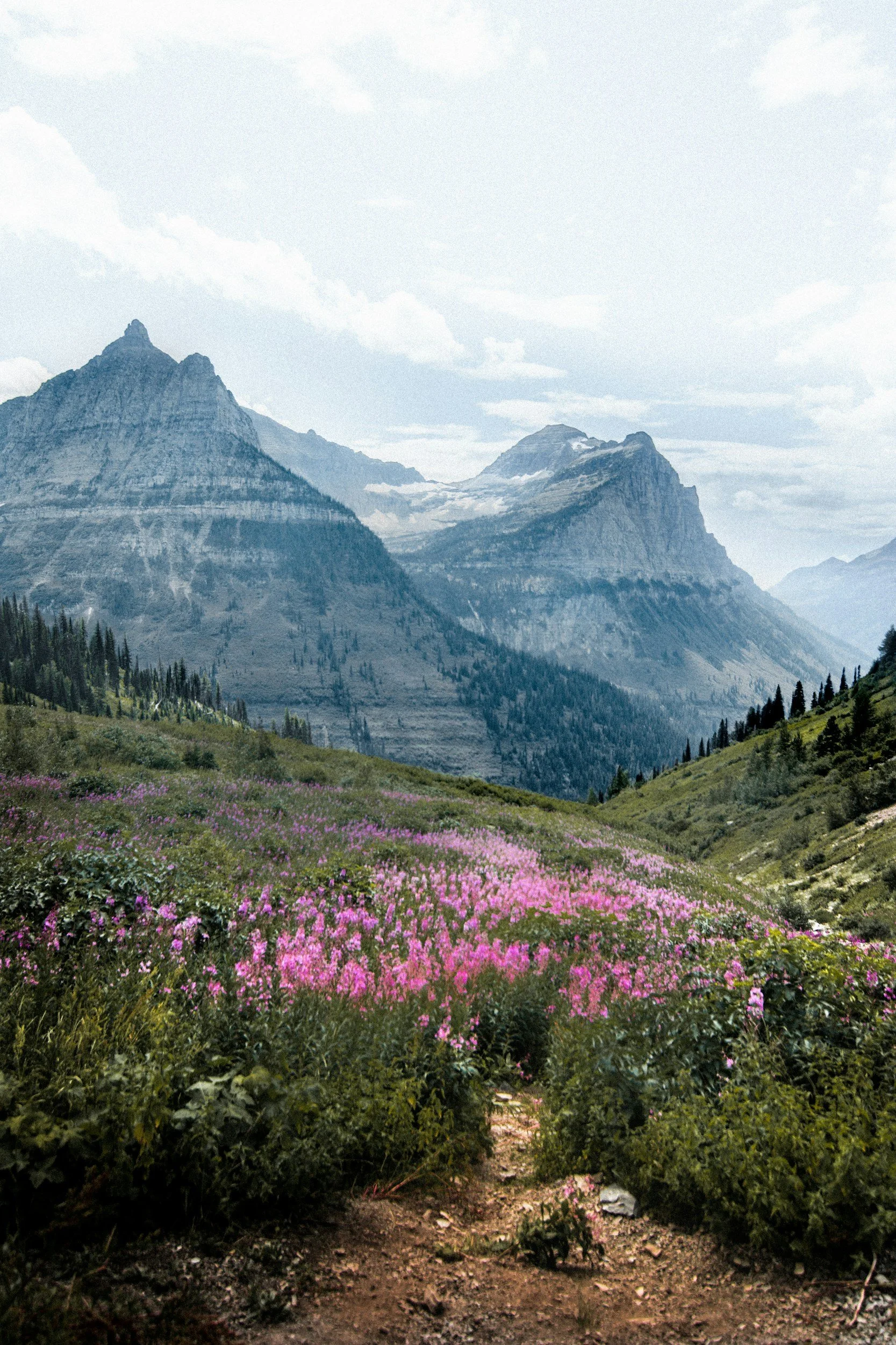 Why Glacier National Park Is the Most Underrated Place in America Right Now