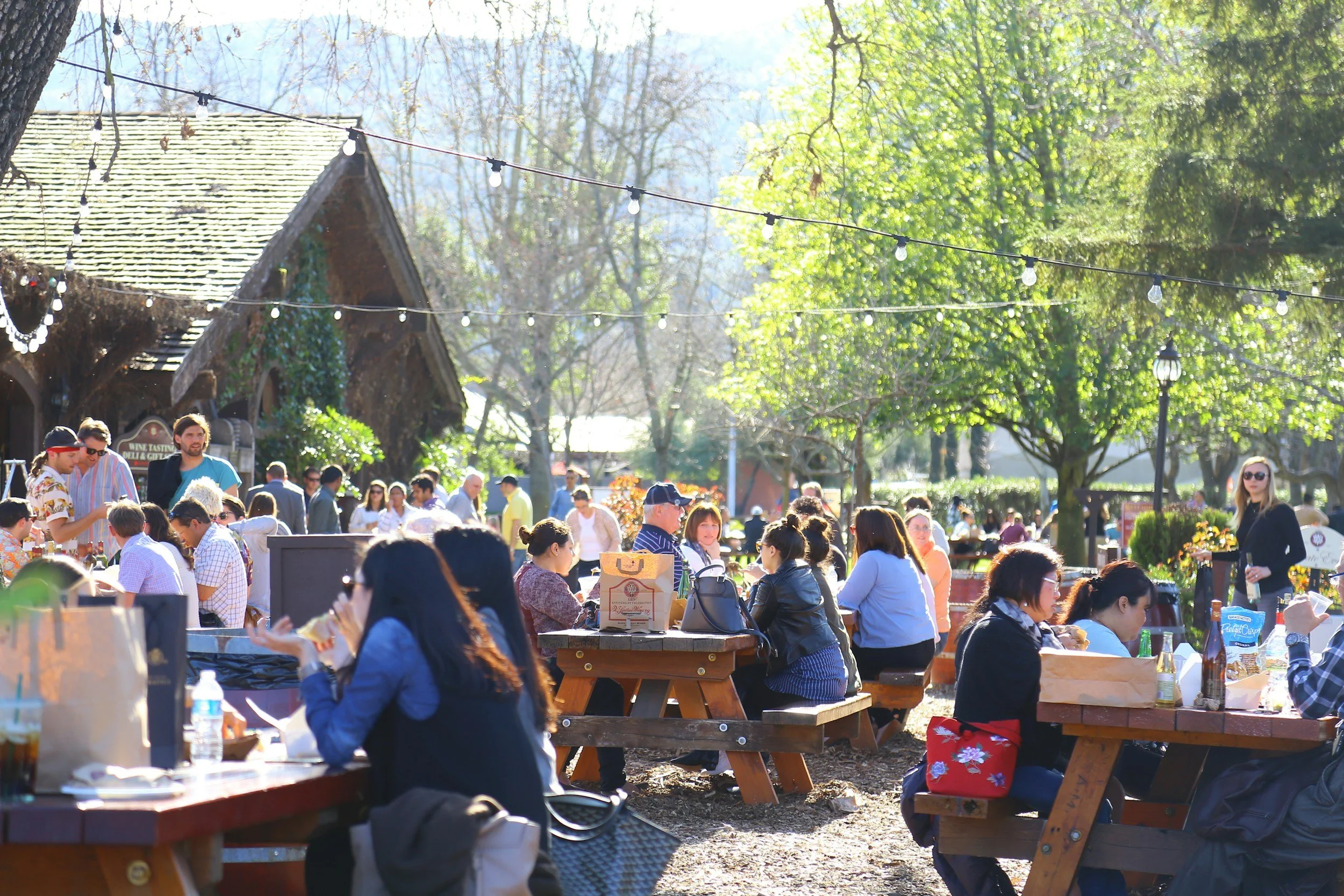 Napa Valley Is Evolving—And Luxury Travelers Are Taking Notice