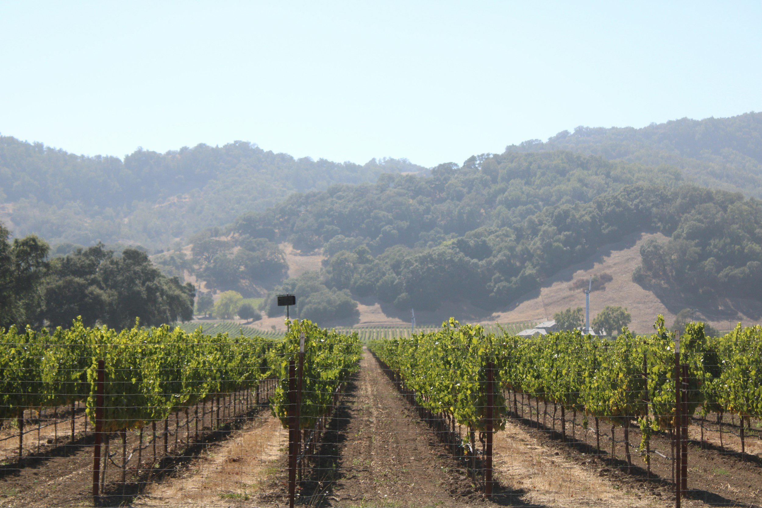 Napa Valley Is Evolving—And Luxury Travelers Are Taking Notice