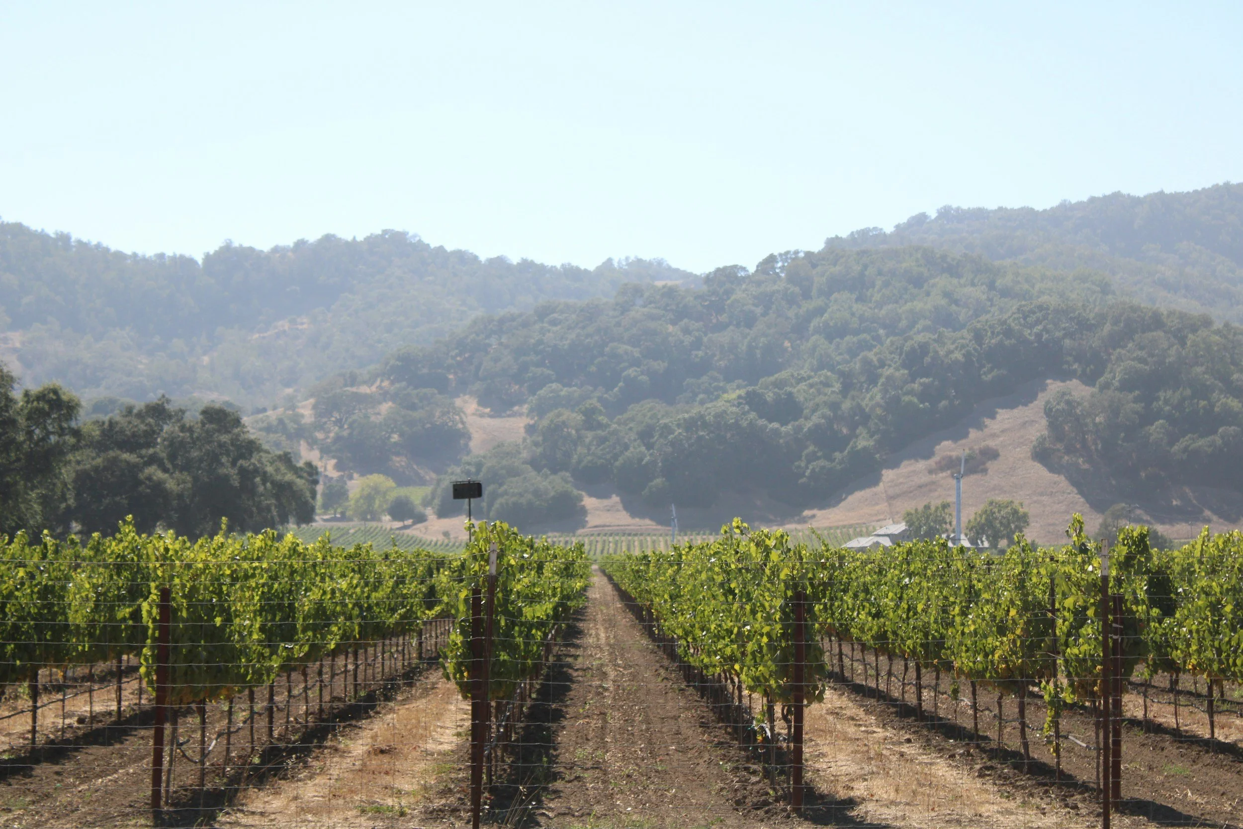 Napa Valley Is Evolving—And Luxury Travelers Are Taking Notice