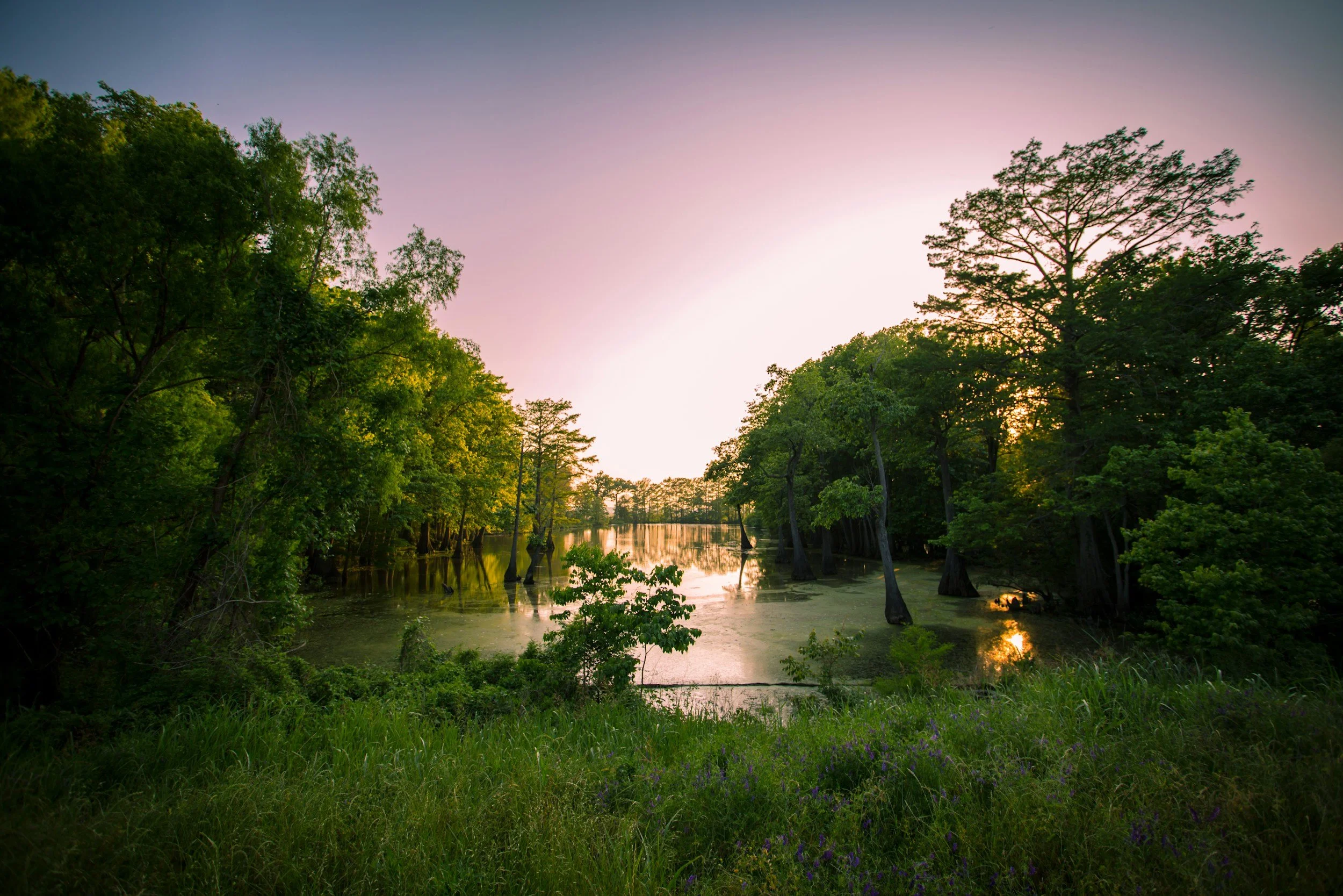 Natchitoches, Louisiana: The Storybook Town Most Travelers Miss