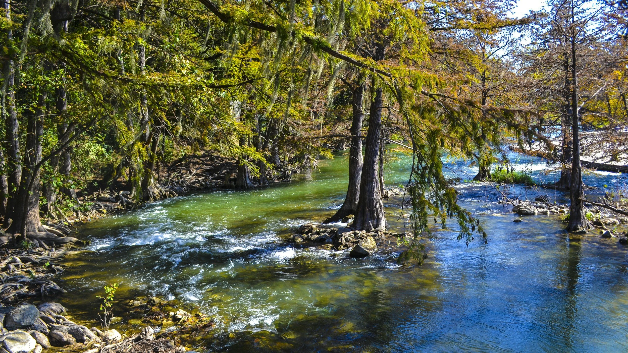 How a German River Town Became One of Texas's Fastest-Growing Cities