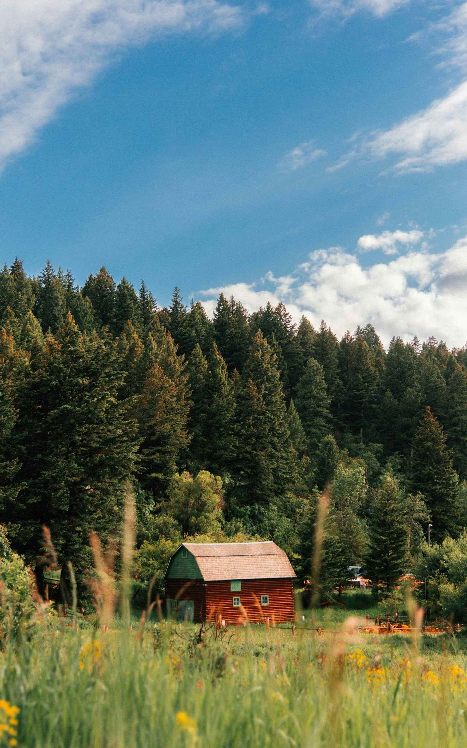 How Bozeman Became the Boomtown of the New West