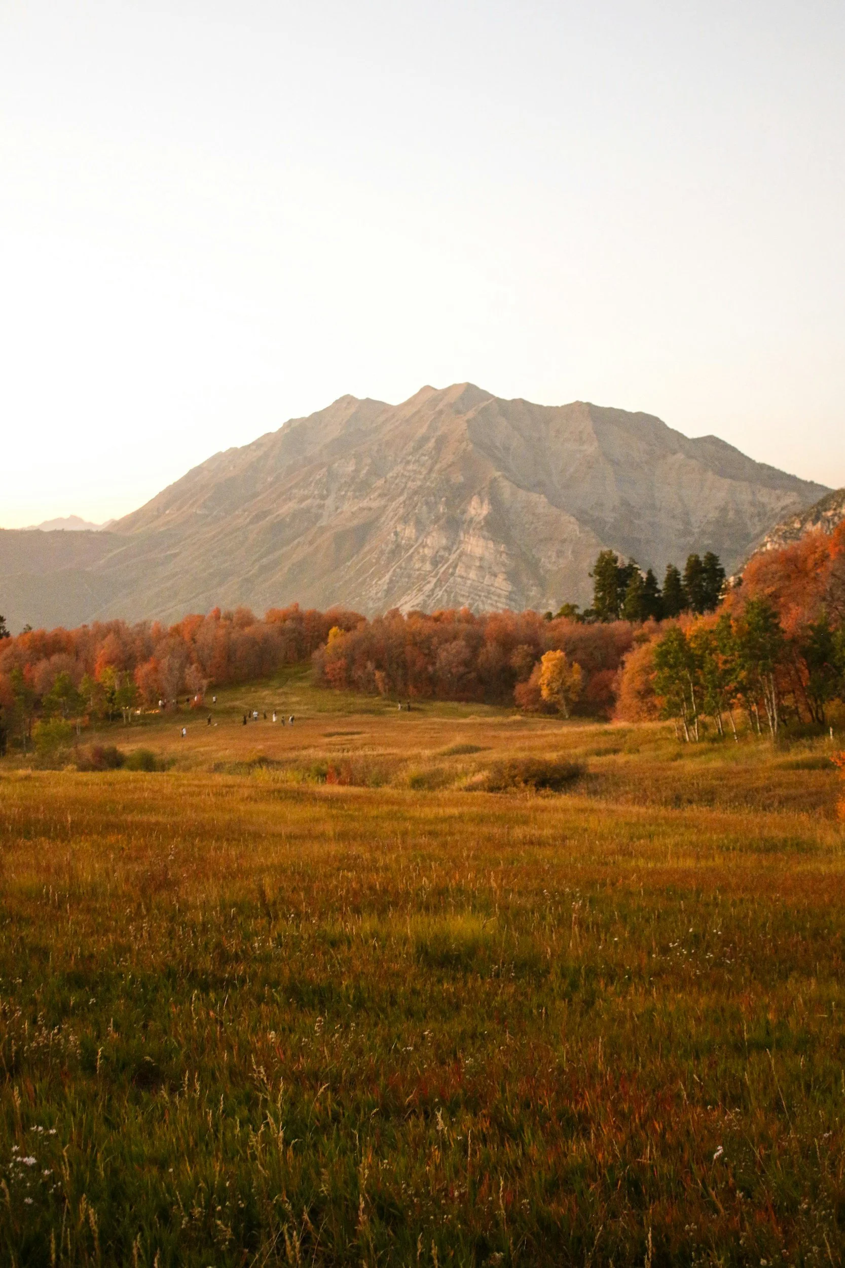 How Provo Became the Anchor of Utah's Silicon Slopes