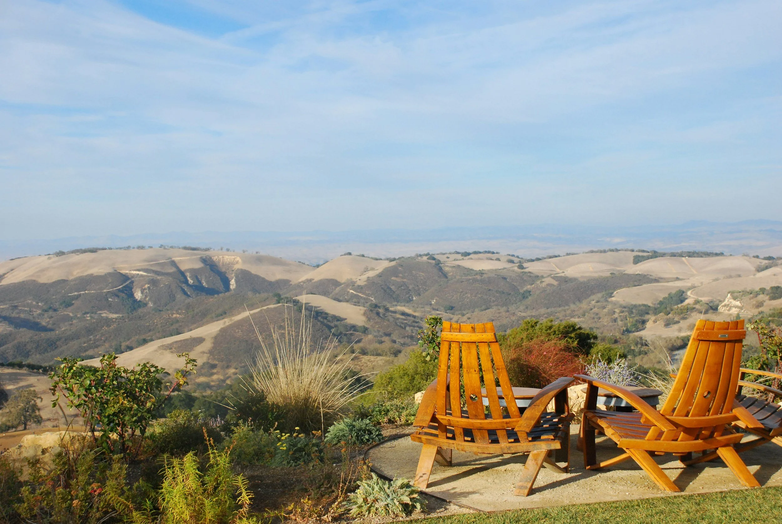 How Paso Robles Became California's Wine Country for the Rest of Us