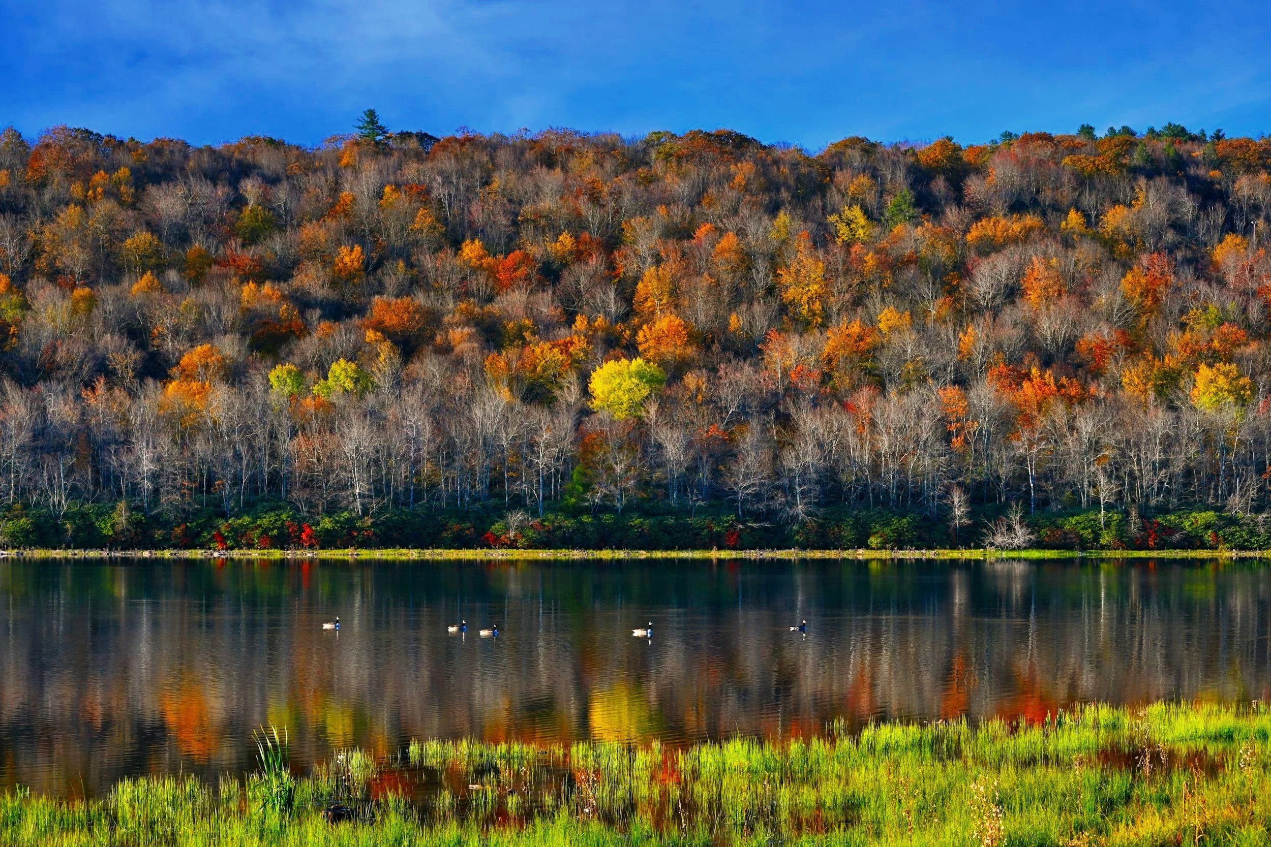 How the Poconos Traded Heart-Shaped Tubs for a Four-Season Comeback"