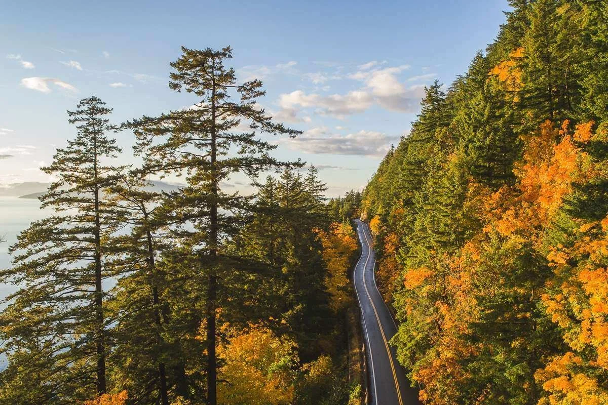 Where the Mountains Meet the Sea: Bellingham's Pacific Northwest Draw
