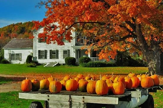 The Vermont Town with Marble Sidewalks Has Been Doing Understated Luxury Since the Gilded Age