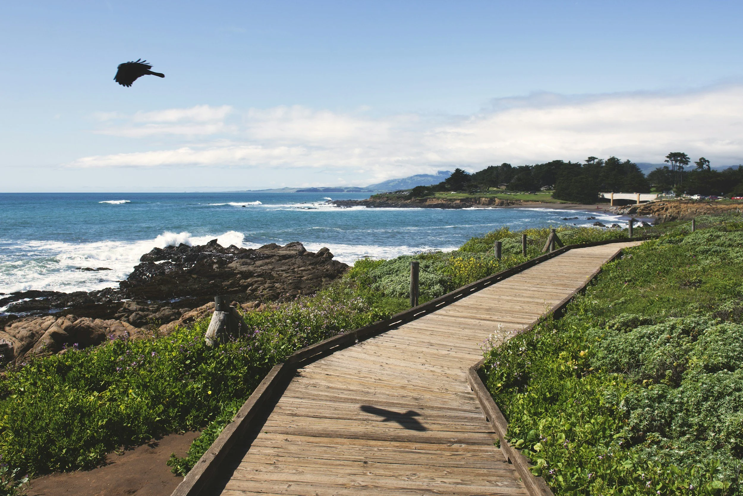 The Central Coast Village Where the Pines Meet a Moonstone Beach