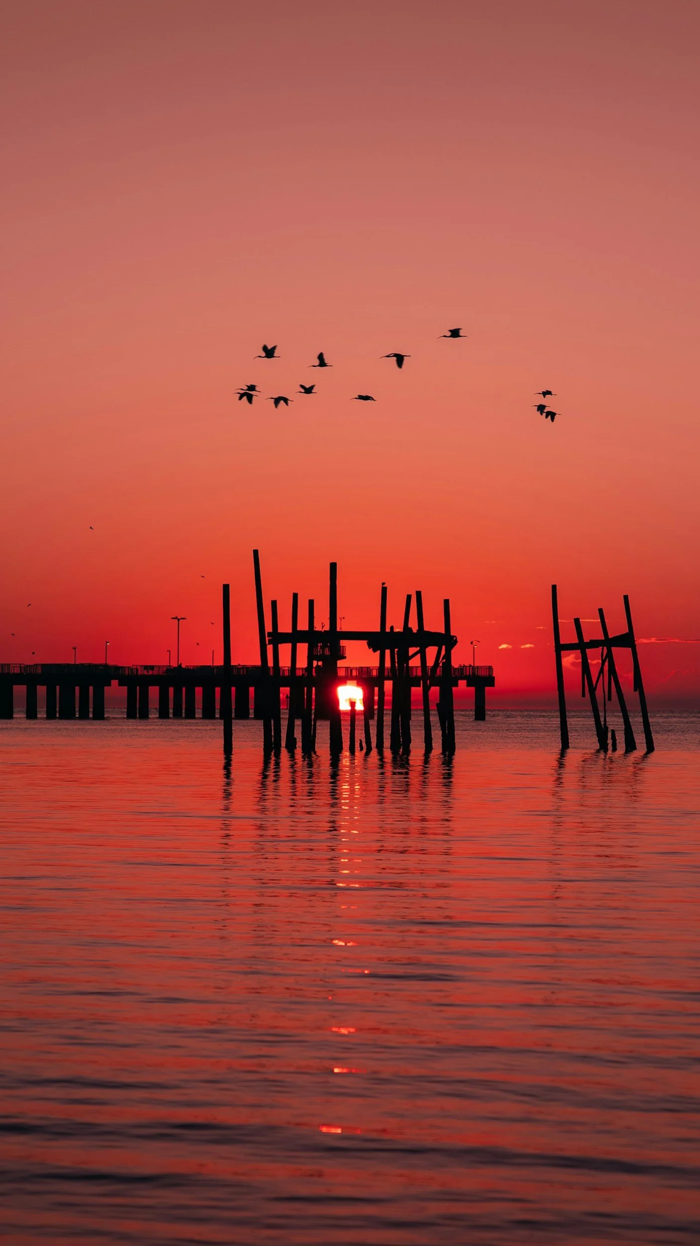 The Old Florida Island Town That Time Forgot on the Nature Coast
