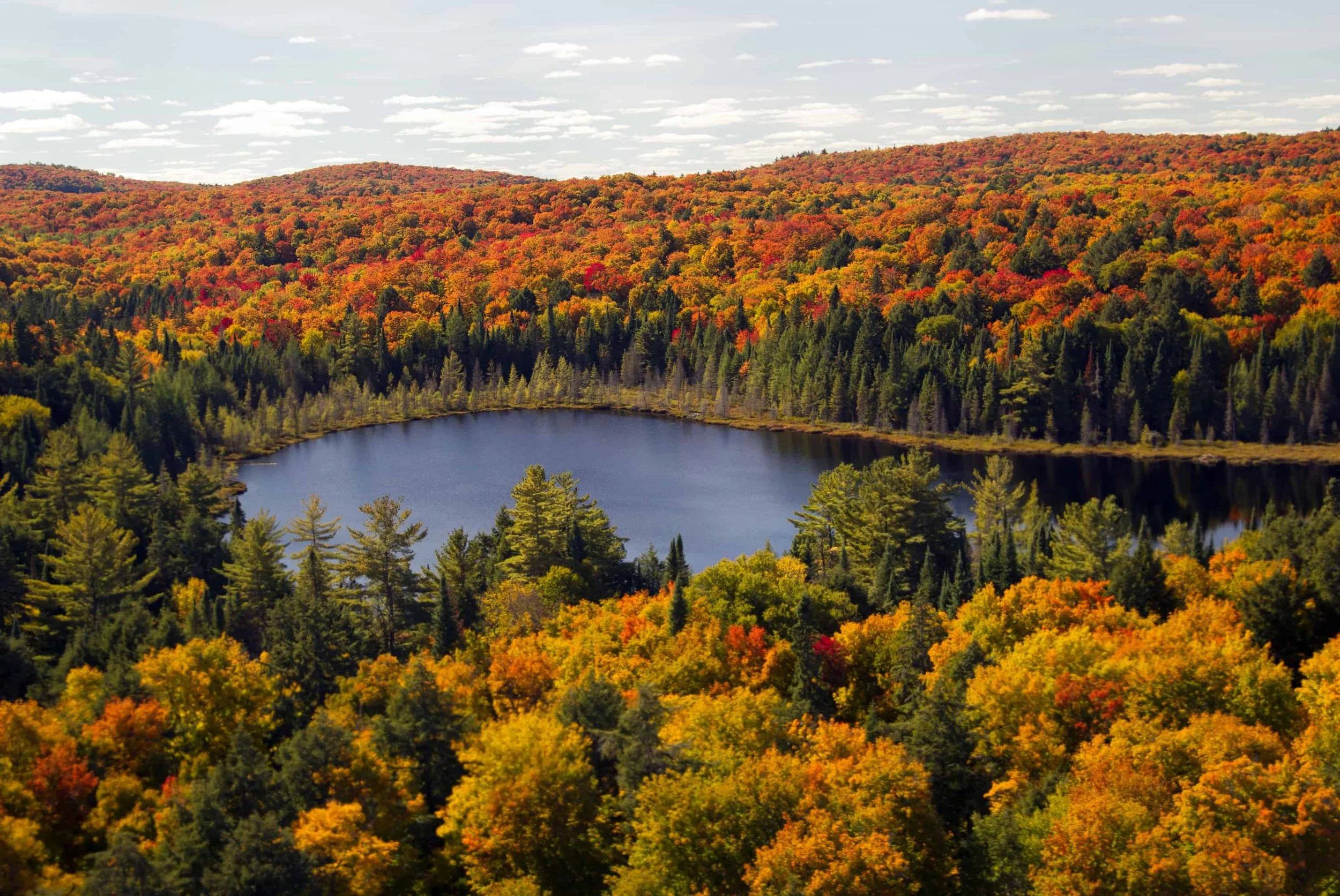 things to do in bancroft ontario