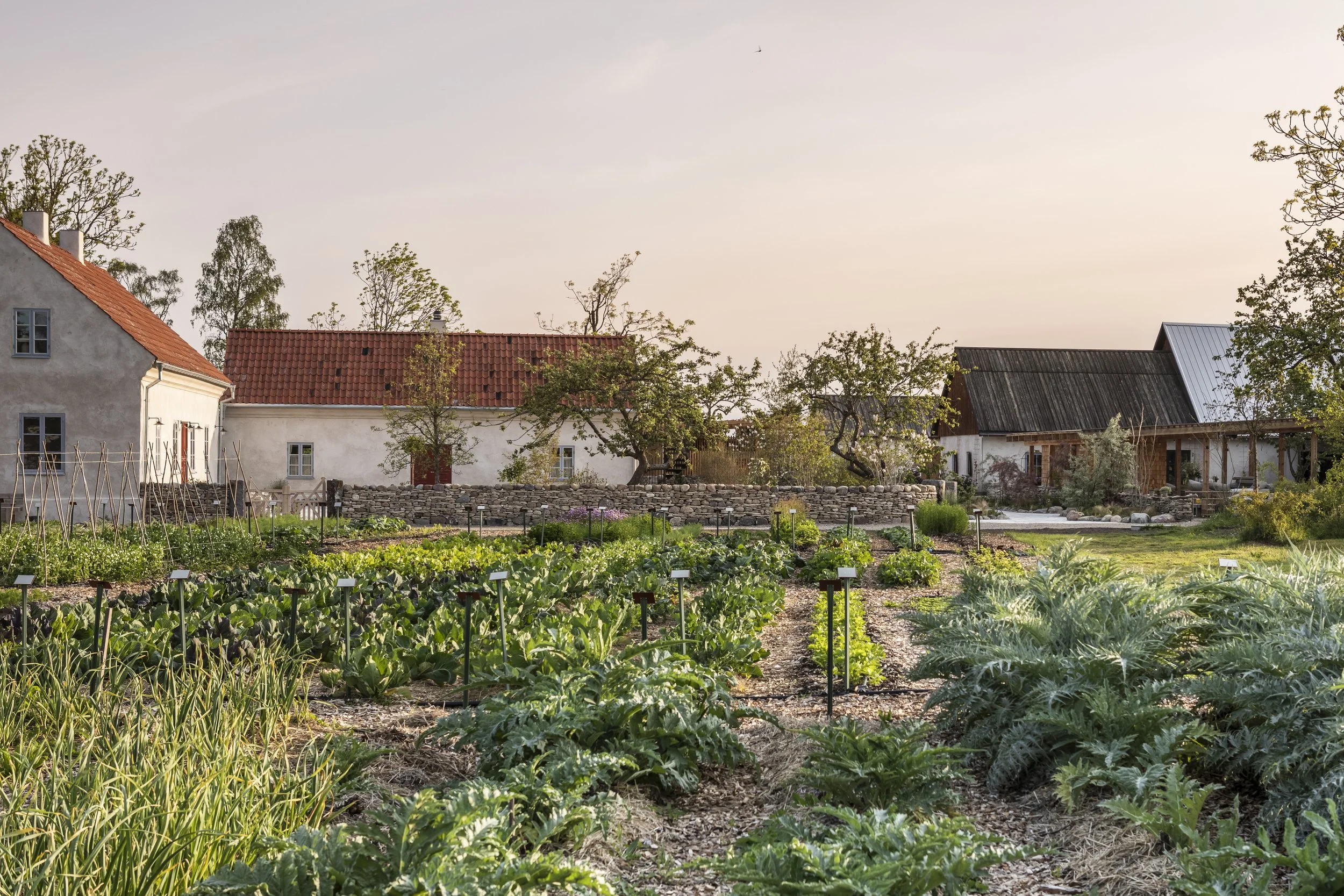 First Look: Sibbjäns, Gotland Island, Sweden