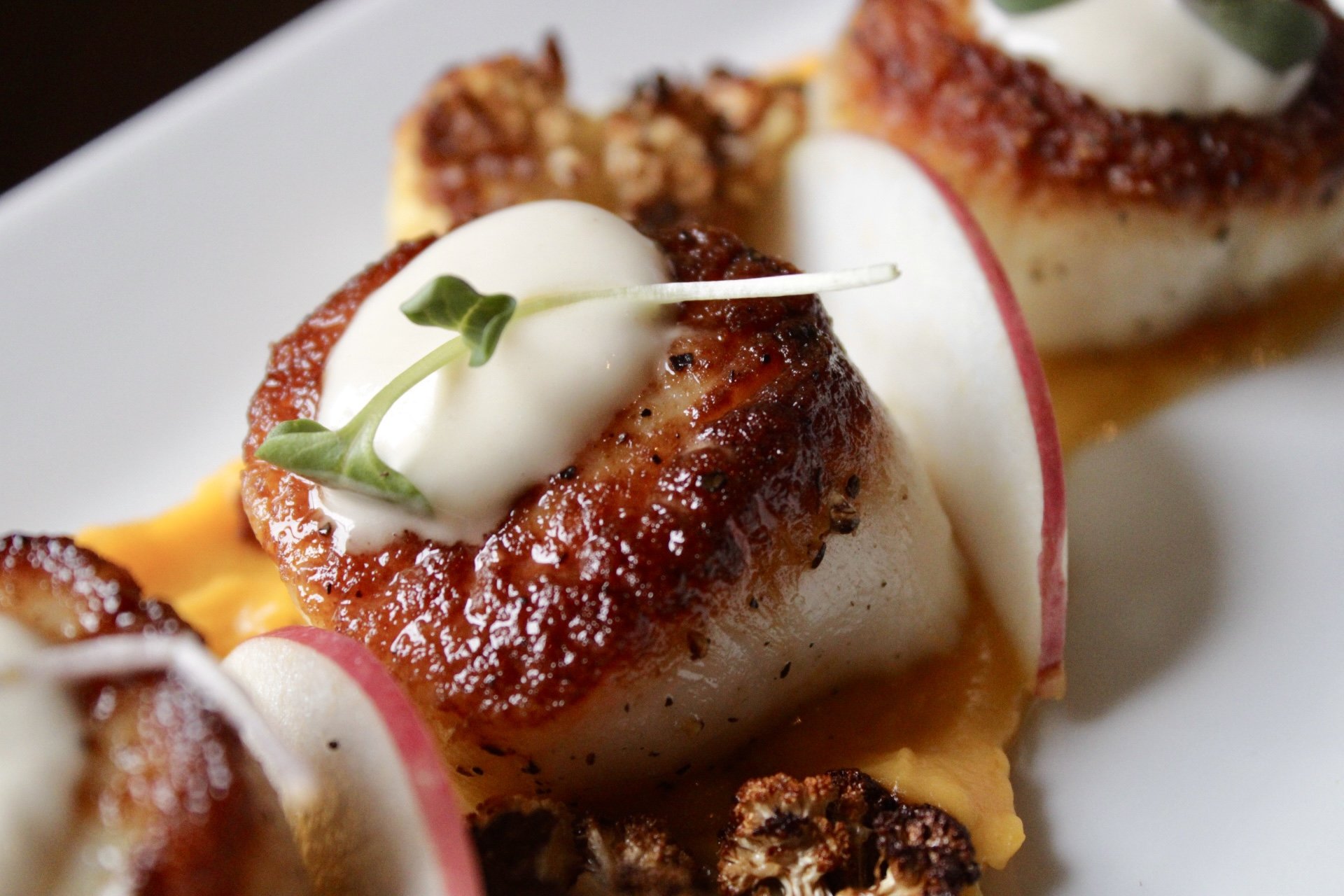 left-bank-cafe-saranac-lake-reviews