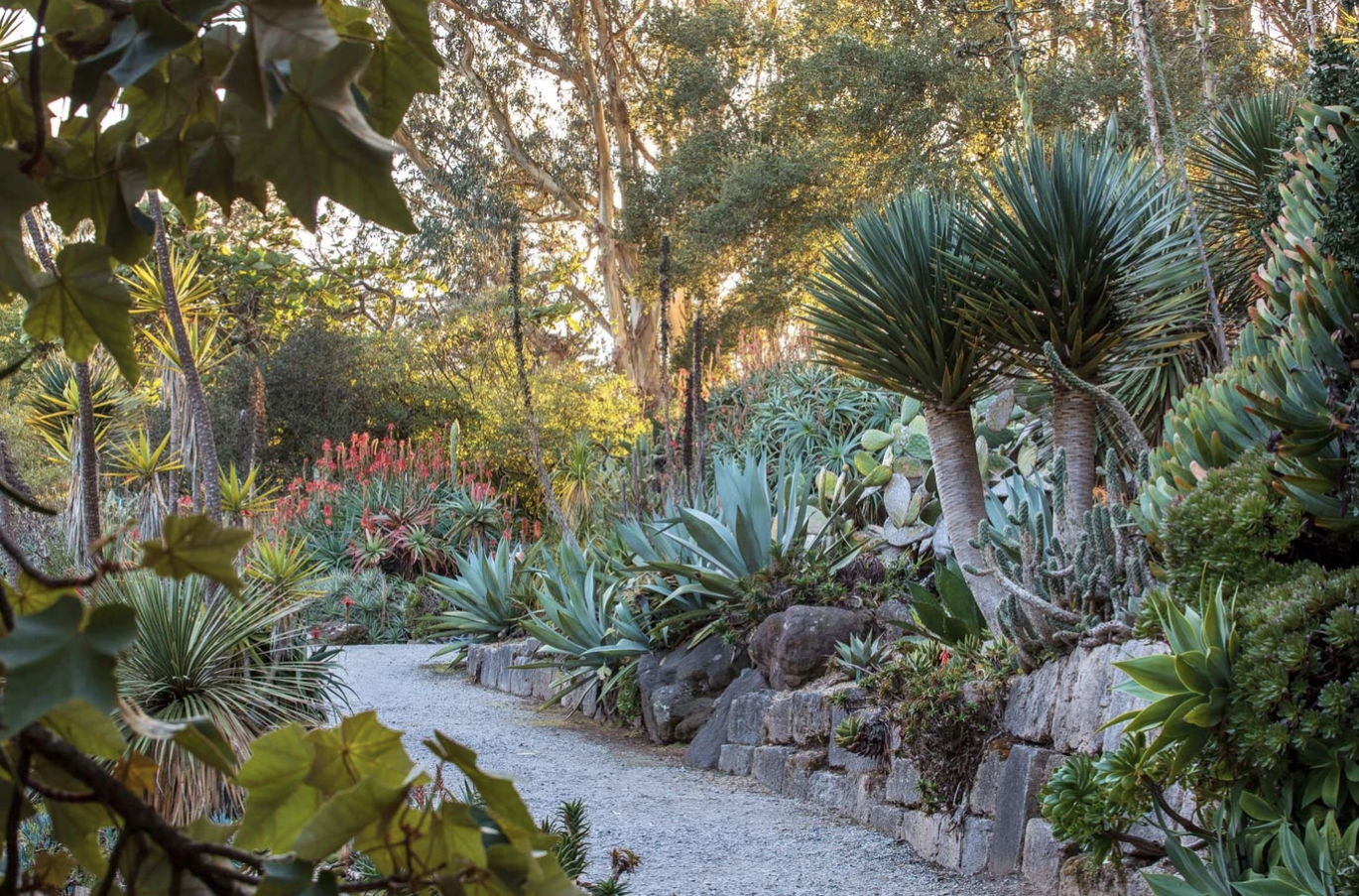 san-ran-botanical-garden-review-5-reasons-to-visit