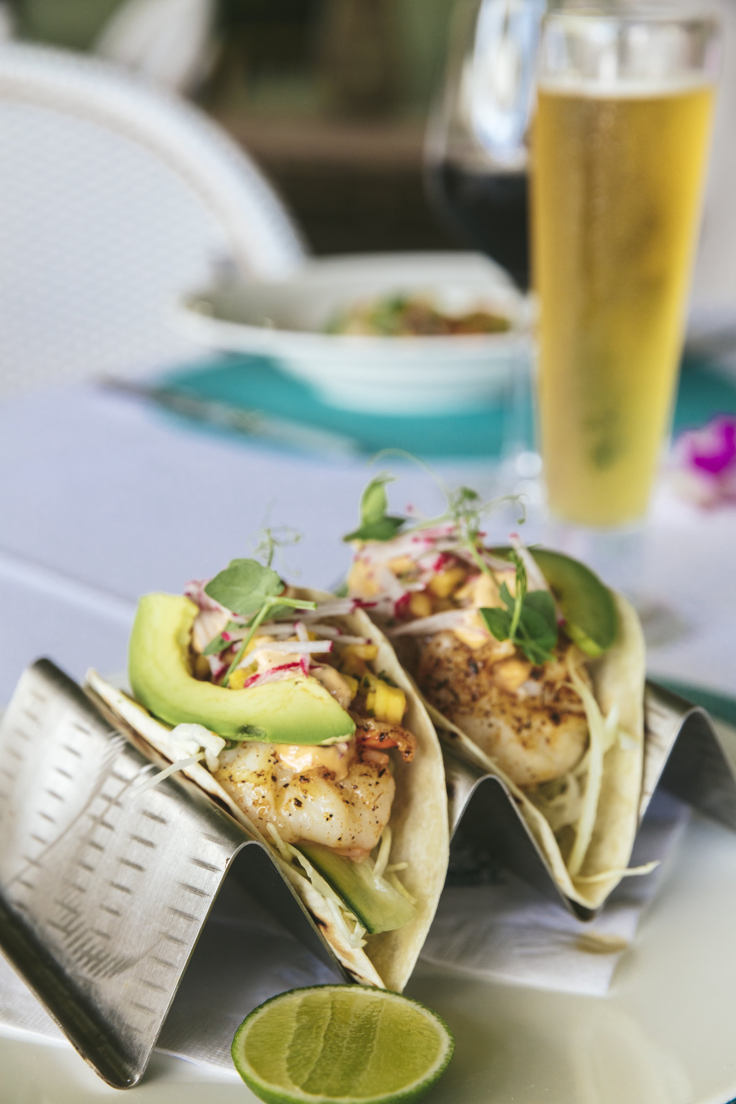 swiftys-colony-hotel-palm-beach-reviews