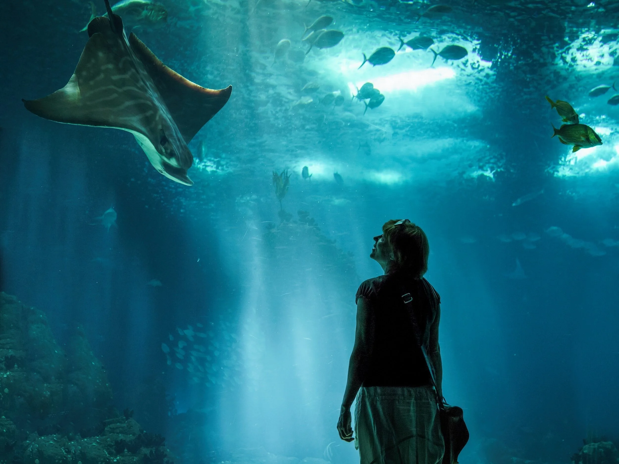 Best Things to Do in Lisbon, Portugal