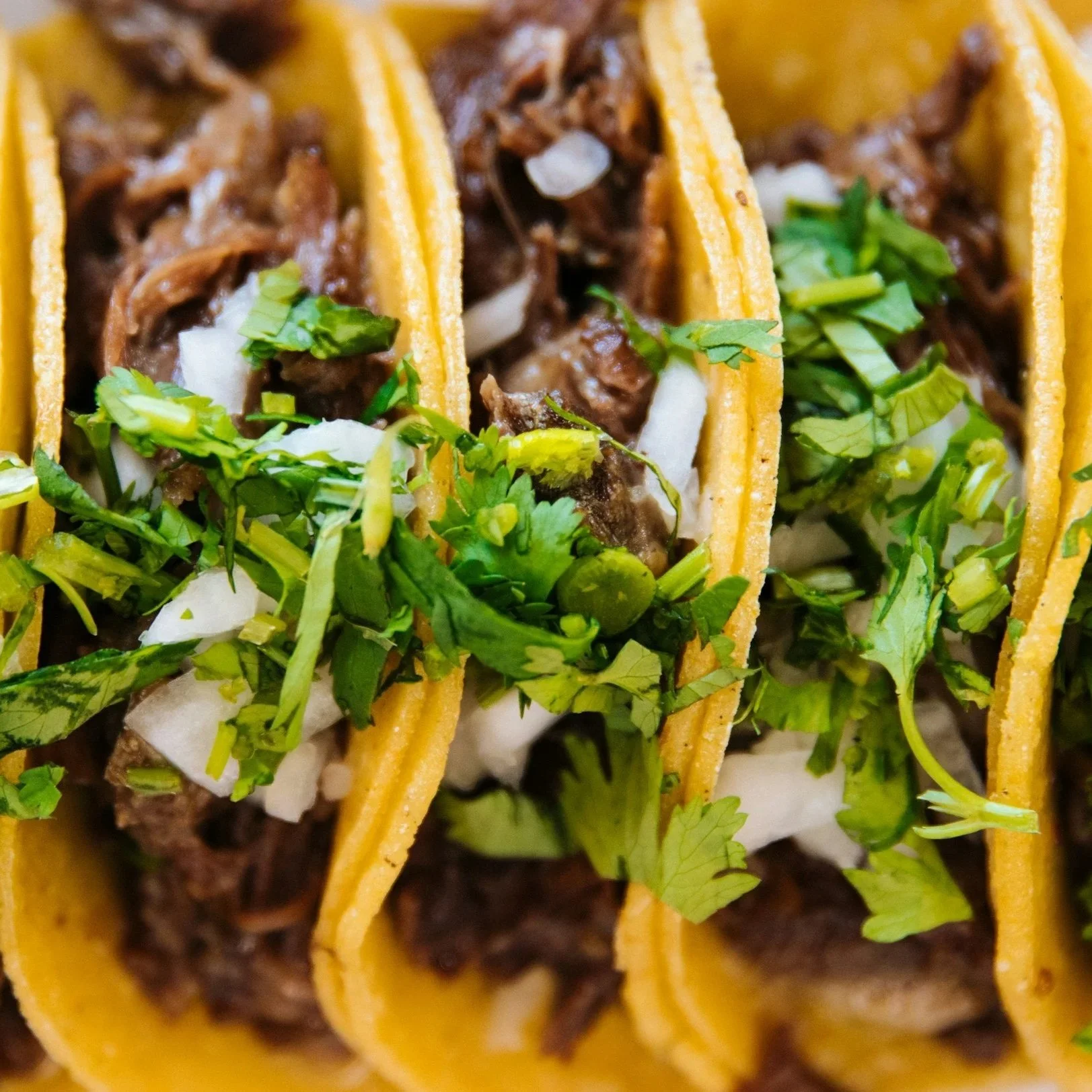 The Best Food Trucks in Every State (2026 Guide)