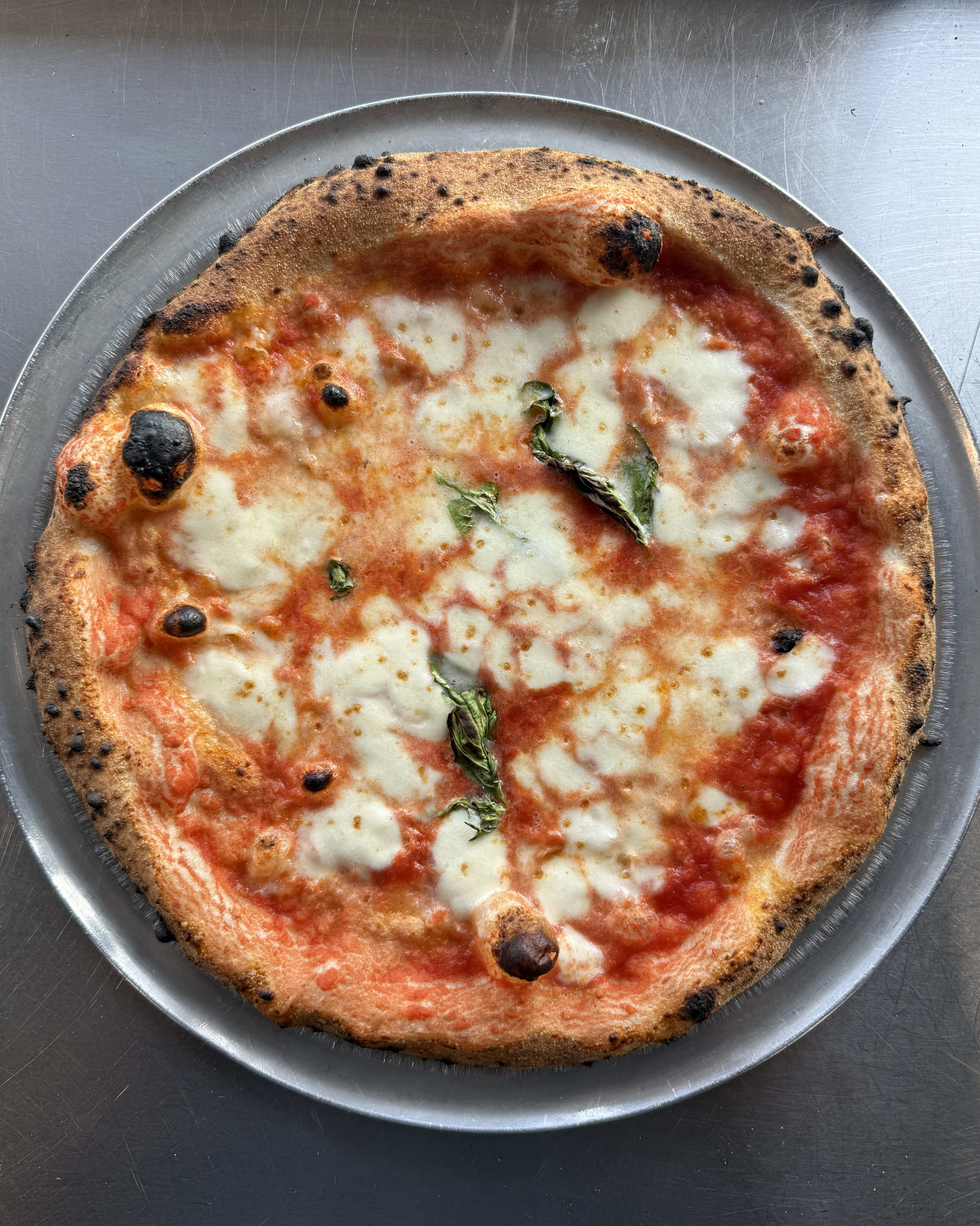 Calogero's Old World Italian in Naperville, Illinois: Meet the Chef