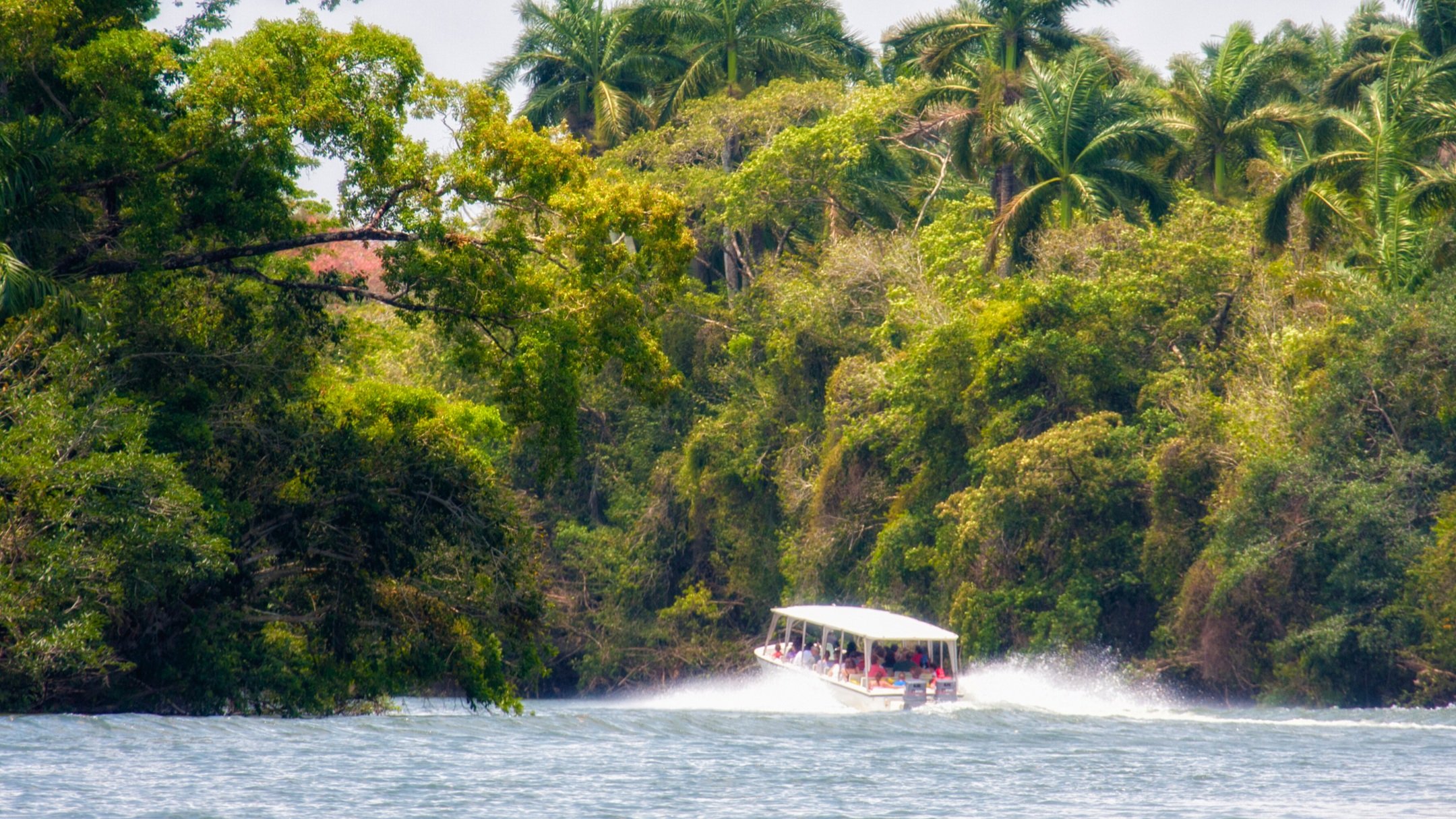 best reasons to visit orange walk gallon jug belize