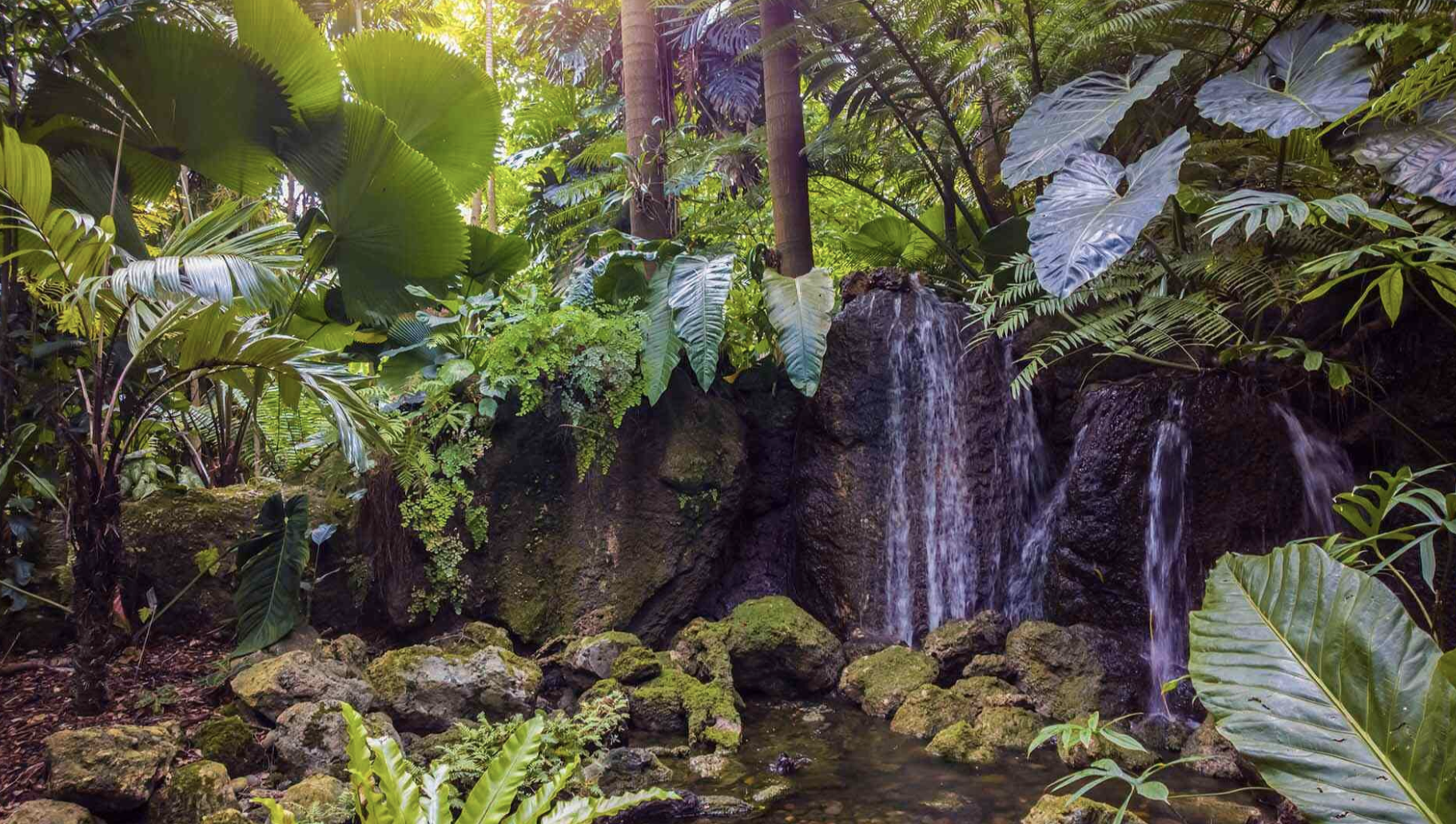 miami-botanical-garden-review-5-reasons-to-visit