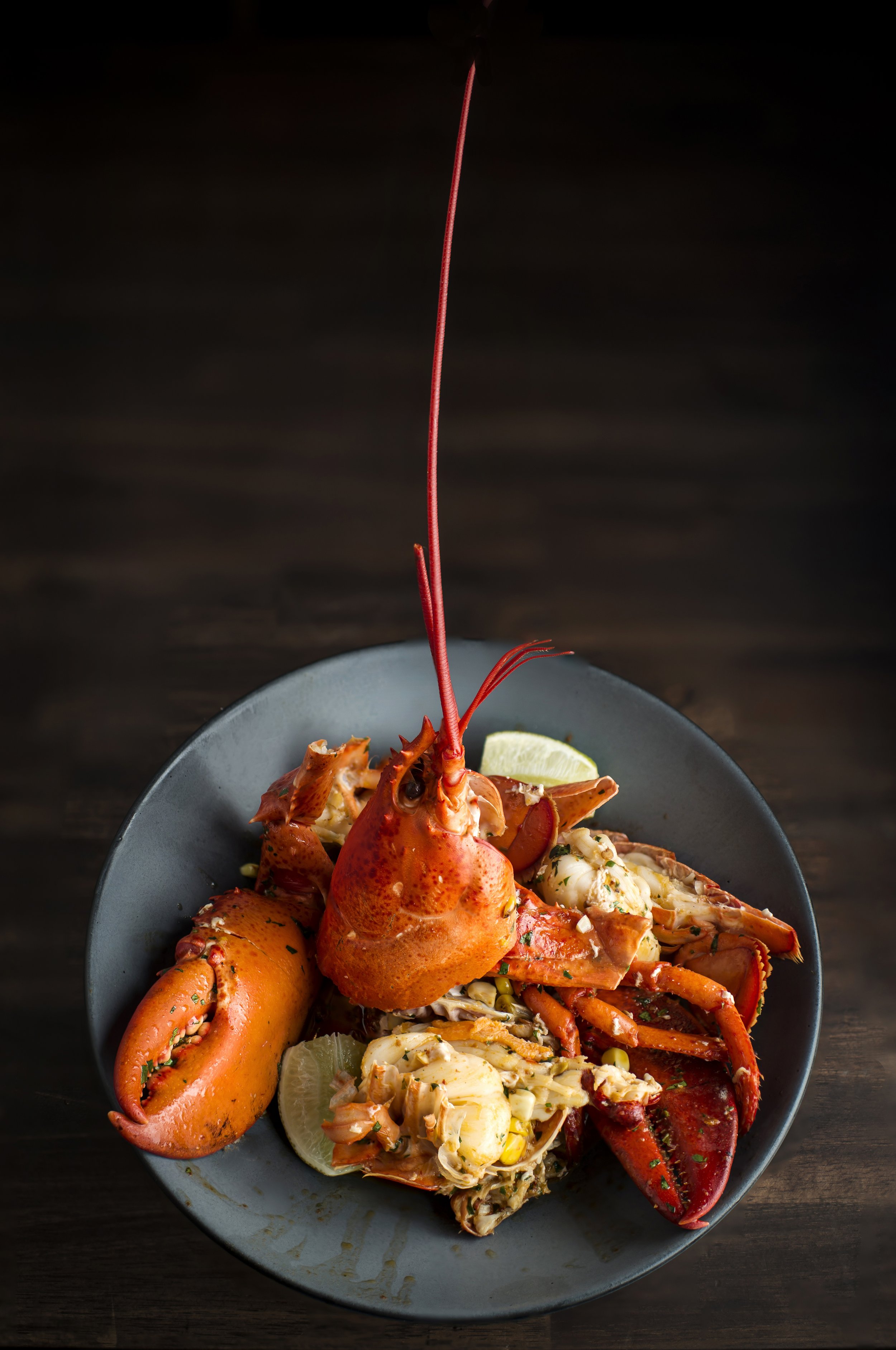 pescador-hotel-commonwealth-boston-reviews