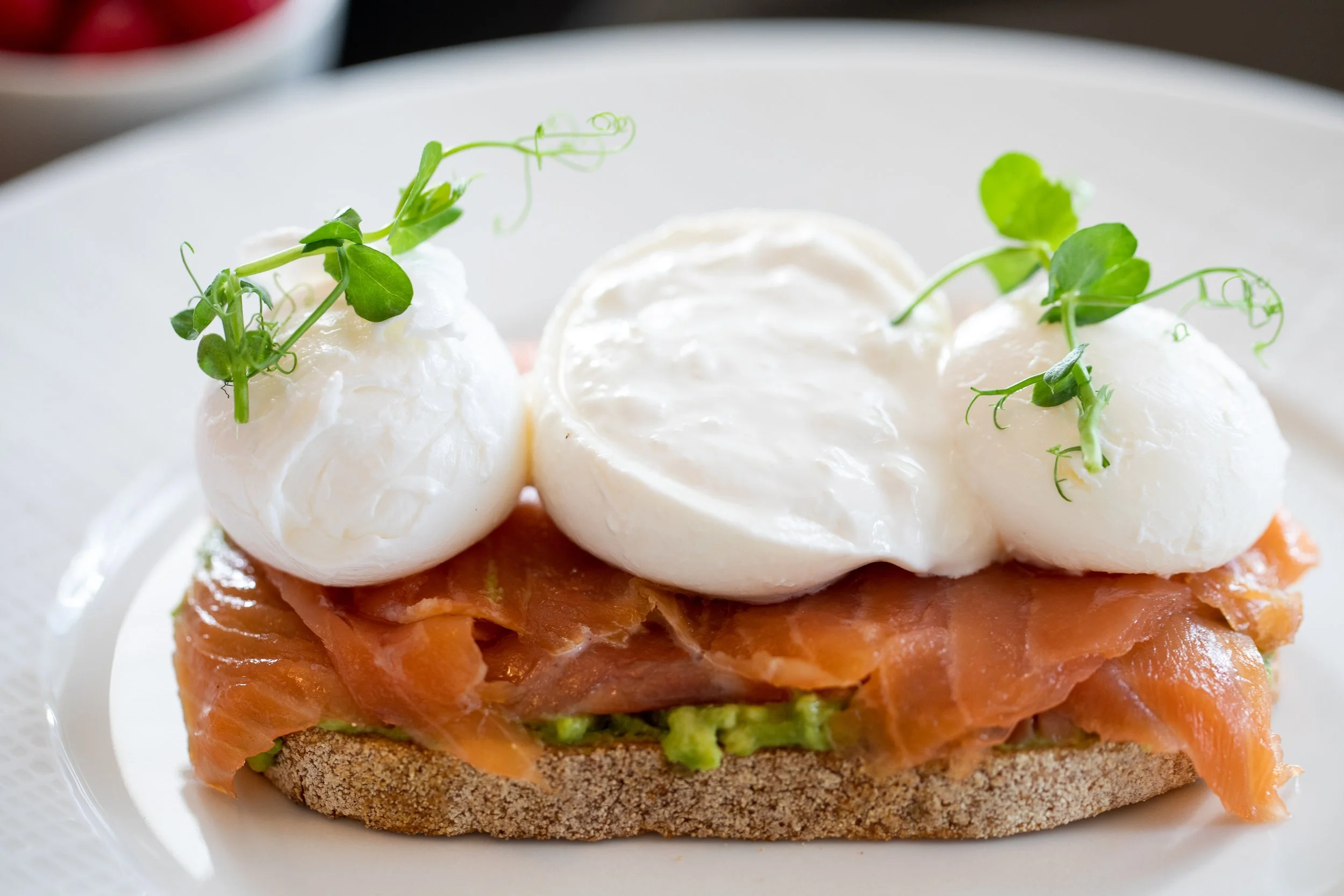 palm-court-plaza-hotel-reviews