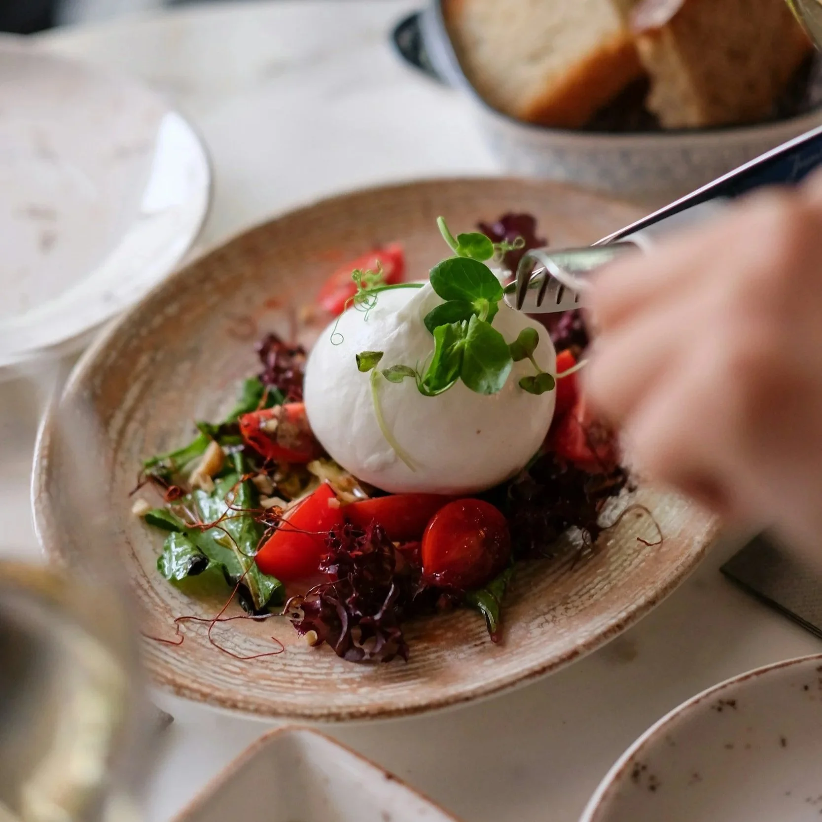 The Best Authentic Italian Restaurants in Every U.S. State