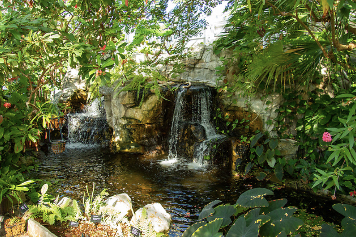 missouri-botanical-garden-review-5-reasons-to-visit