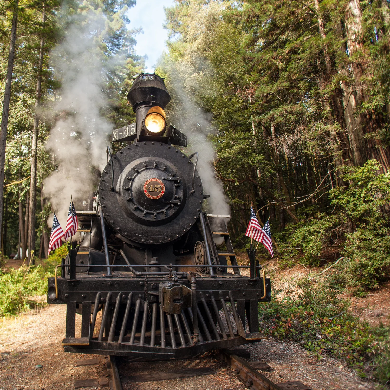 Skunk Train 55 Enjoy a Secret Cocktail Bar Hidden In California’s Redwoods, But There ...